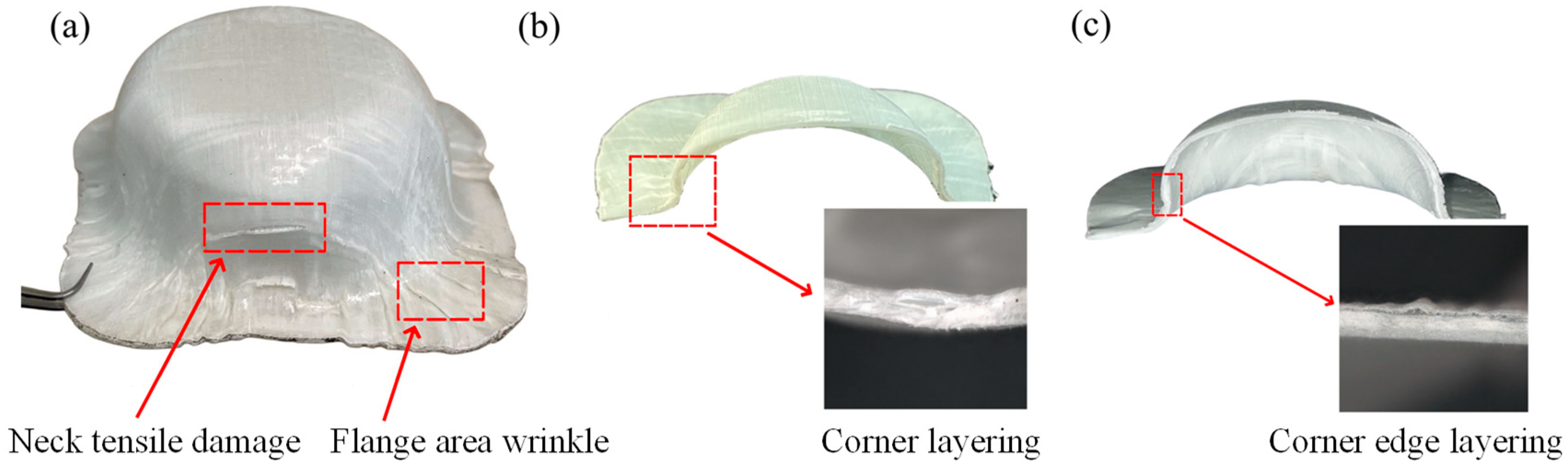 Polymers 16 02885 g012