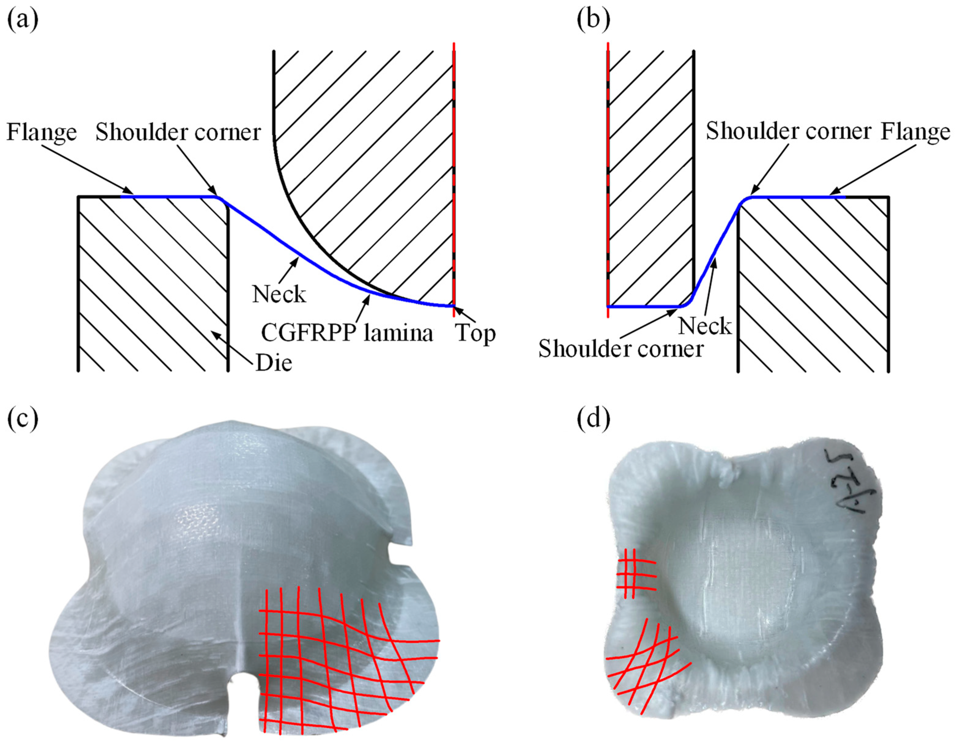 Polymers 16 02885 g014