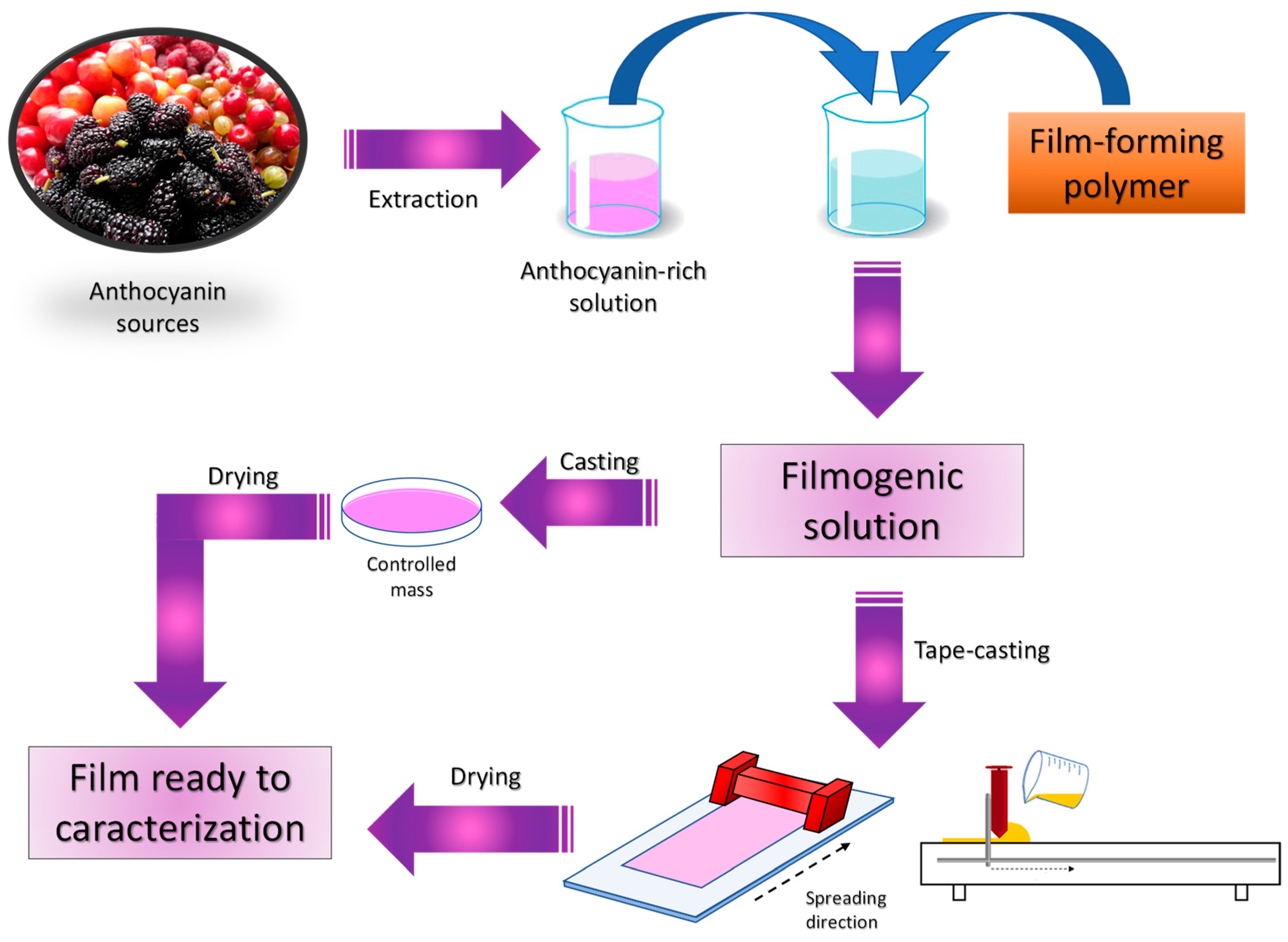 Polymers 16 02886 g002