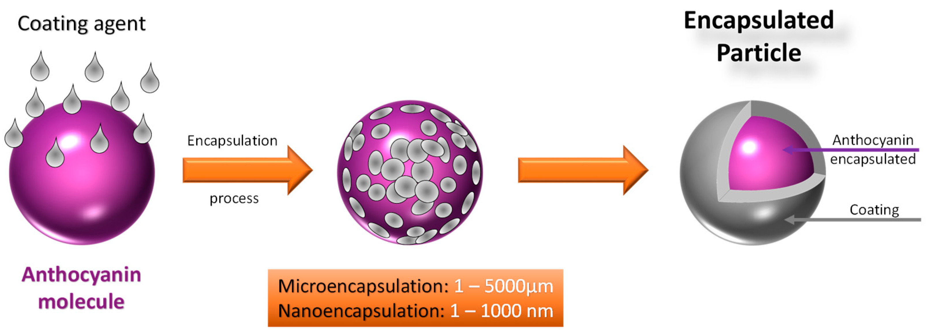 Polymers 16 02886 g004