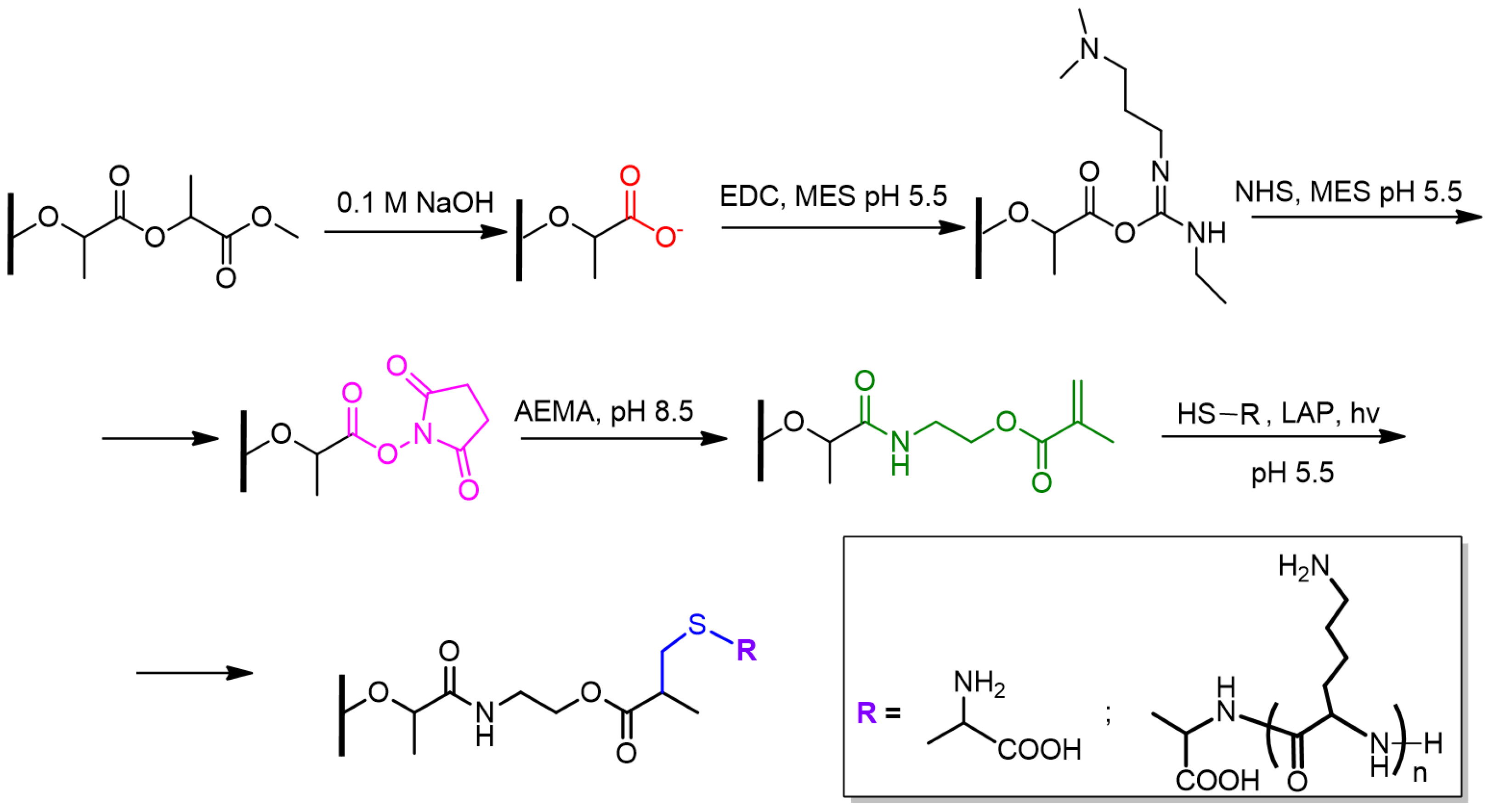 Polymers 16 02888 g002