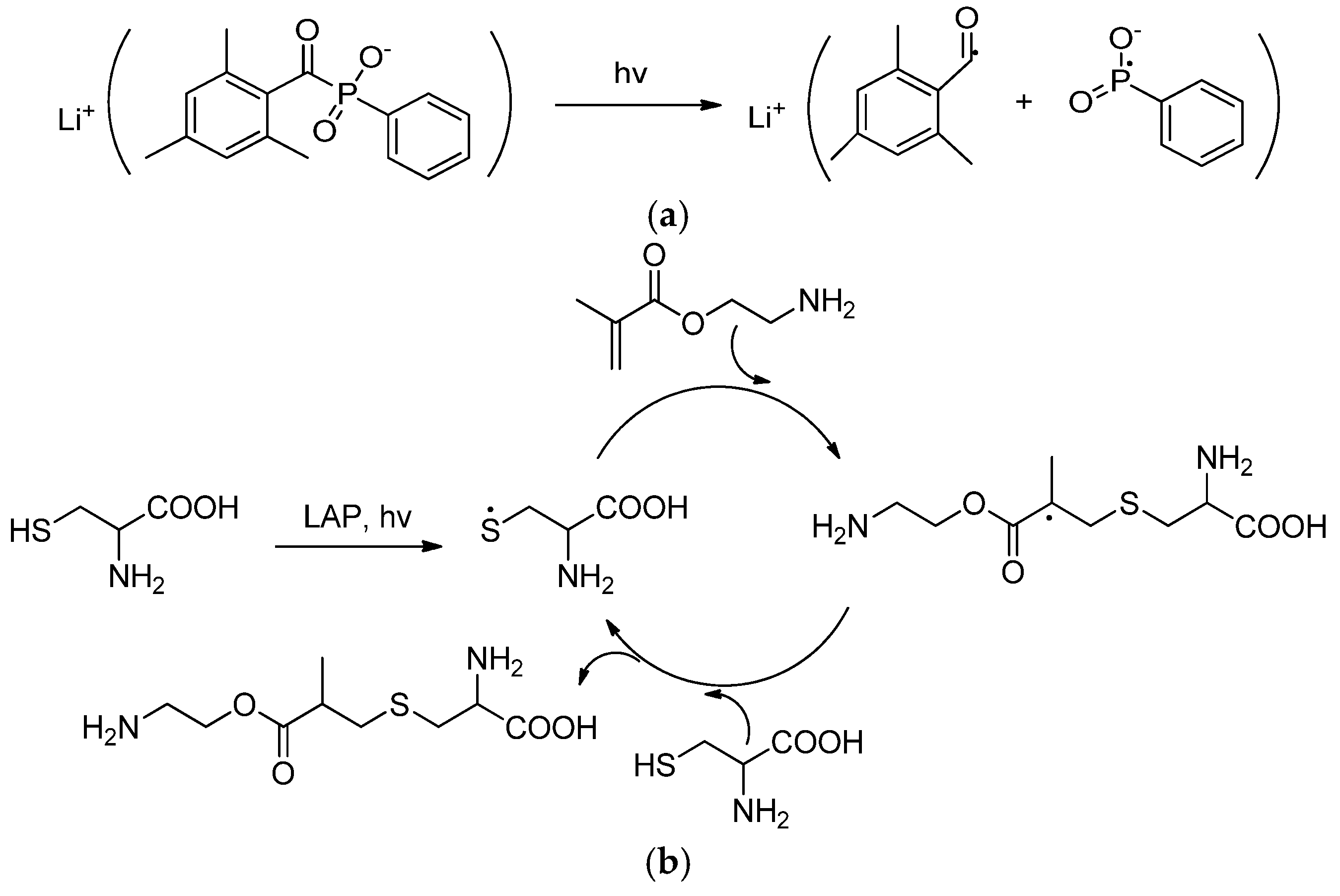 Polymers 16 02888 g008