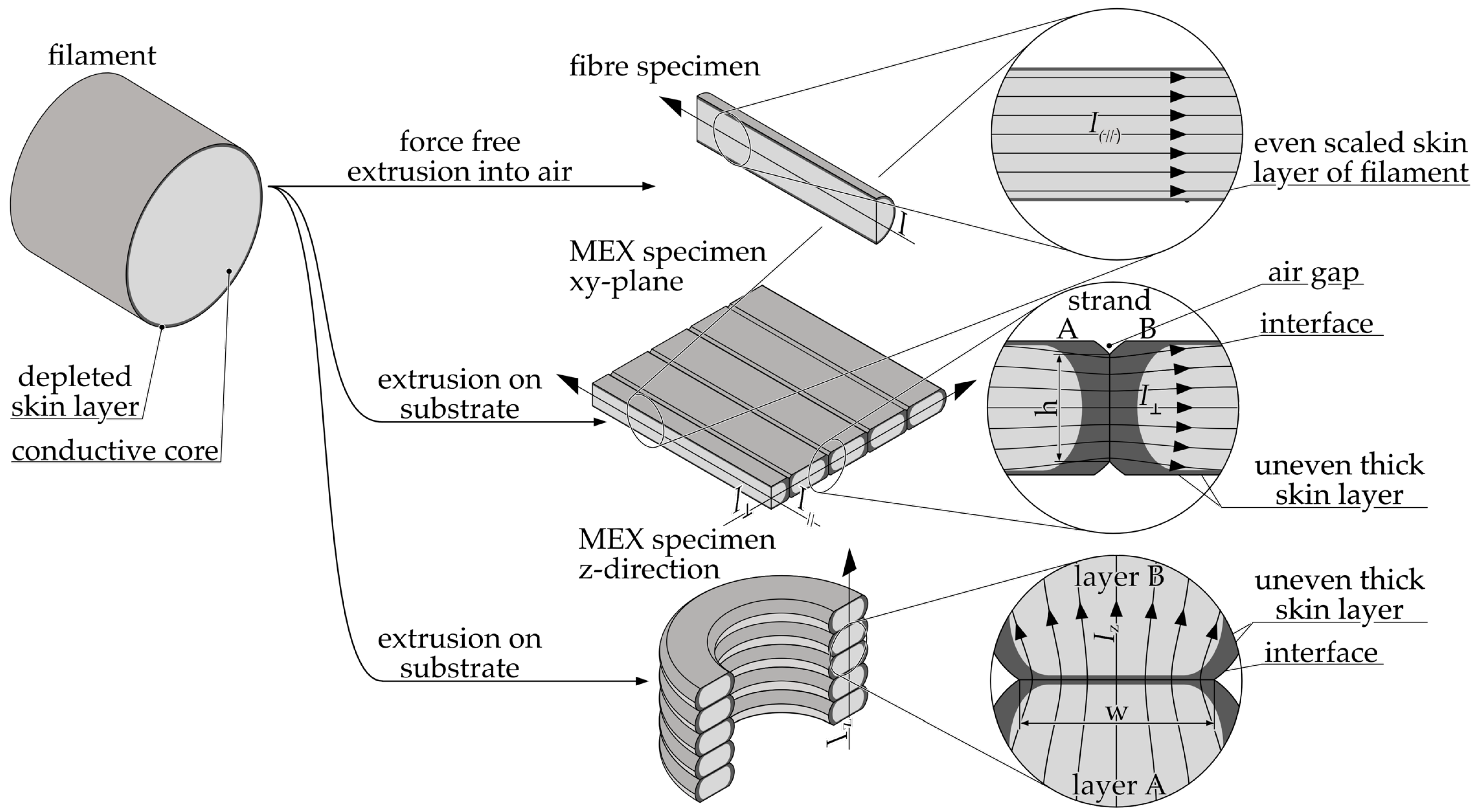 Polymers 16 02891 g009