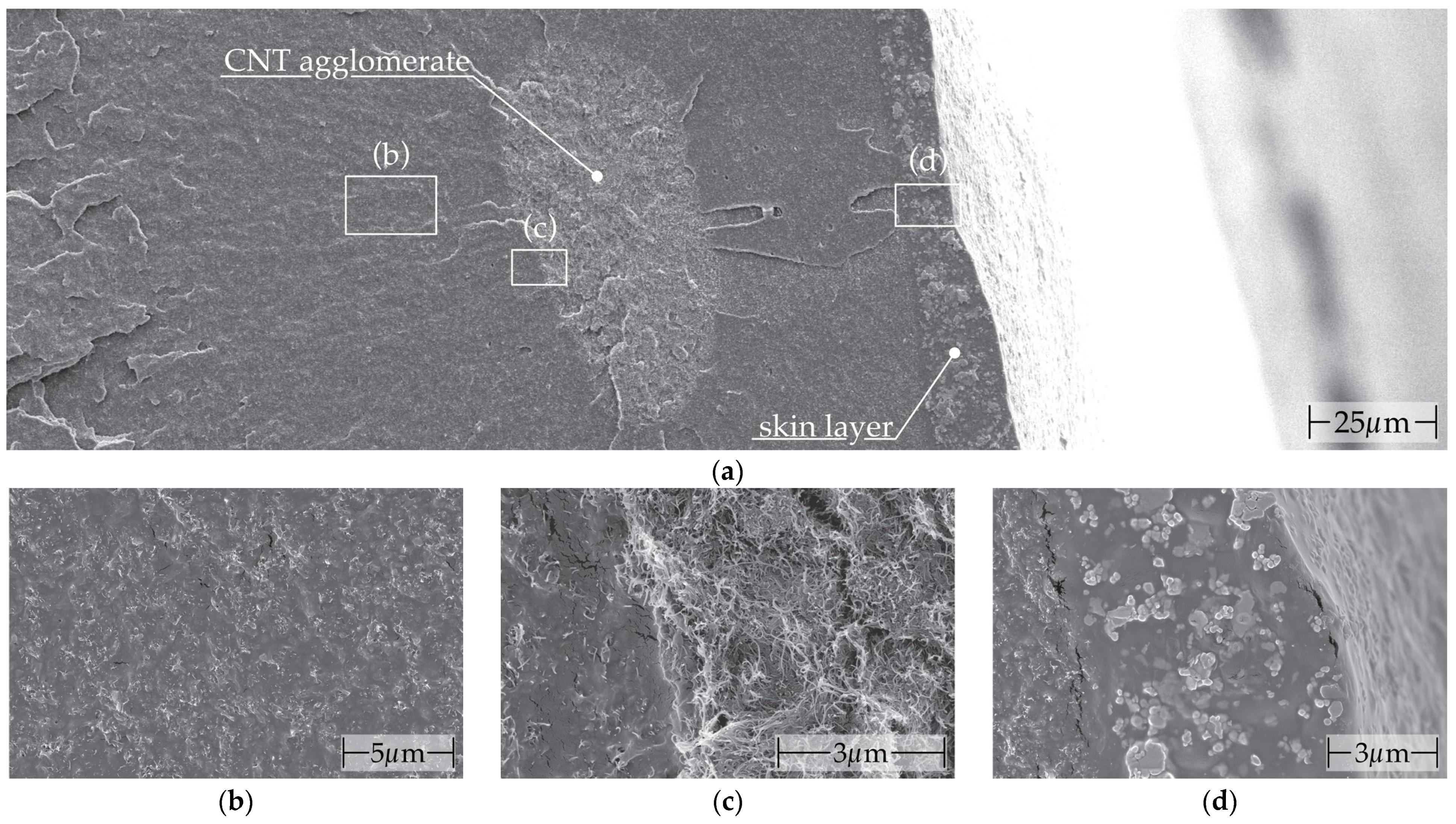 Polymers 16 02891 g0a1