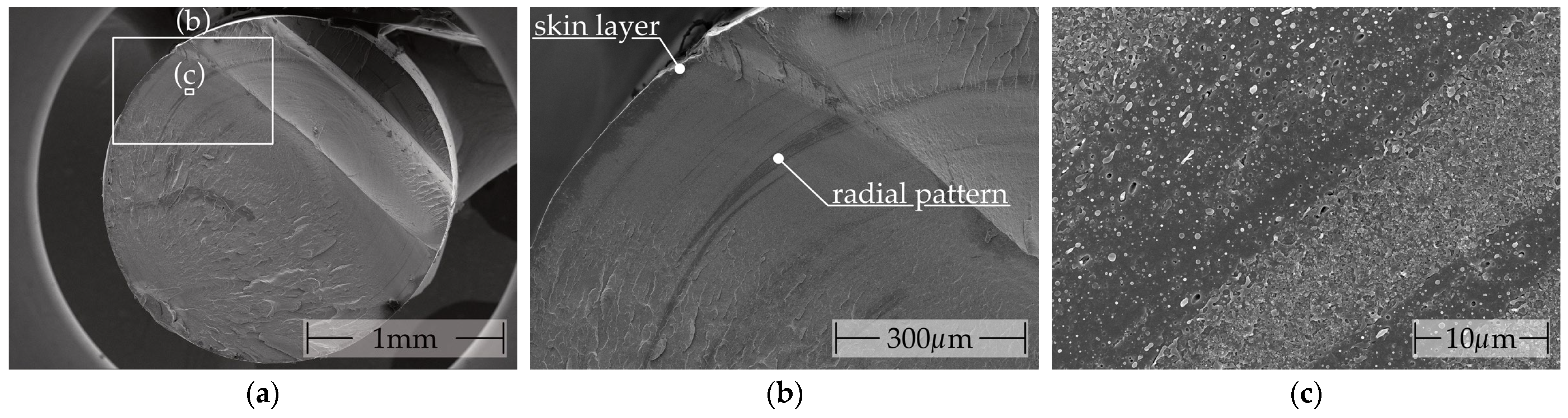 Polymers 16 02891 g0a4