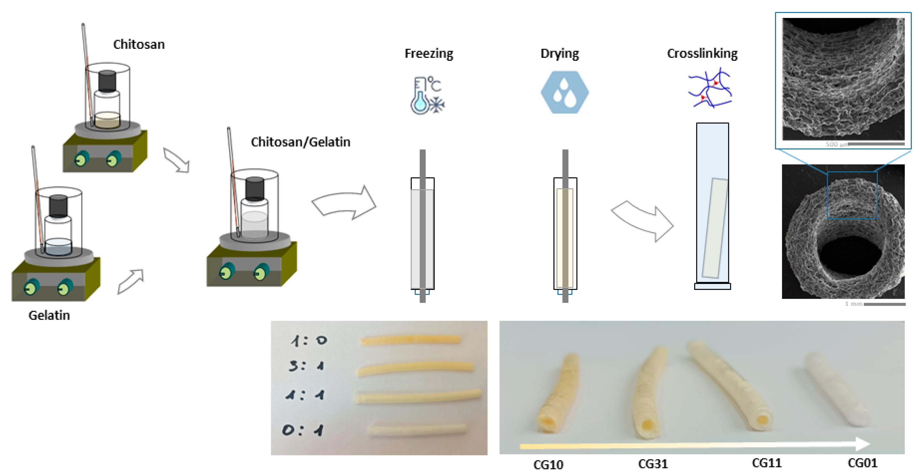 Polymers 16 02893 g001