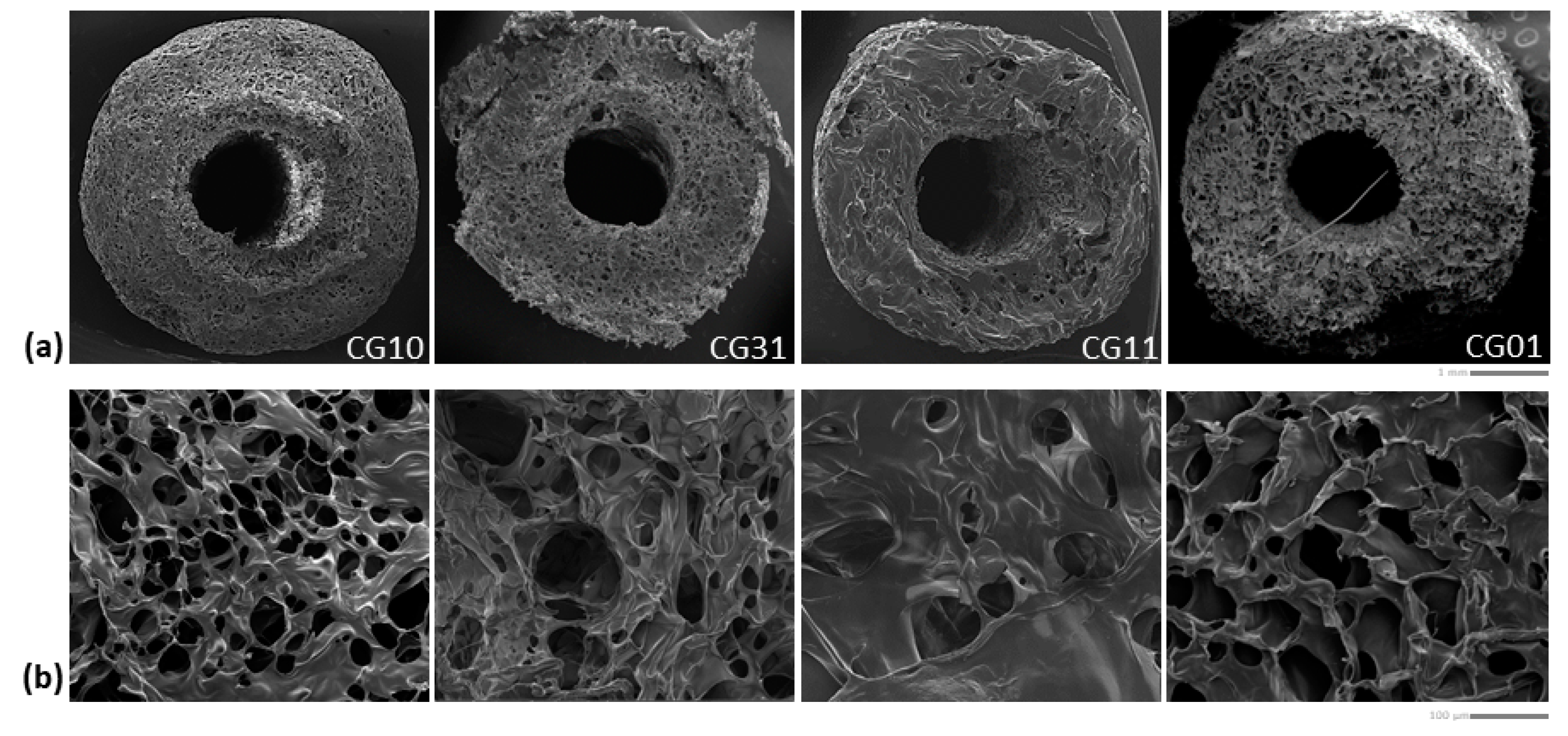 Polymers 16 02893 g004
