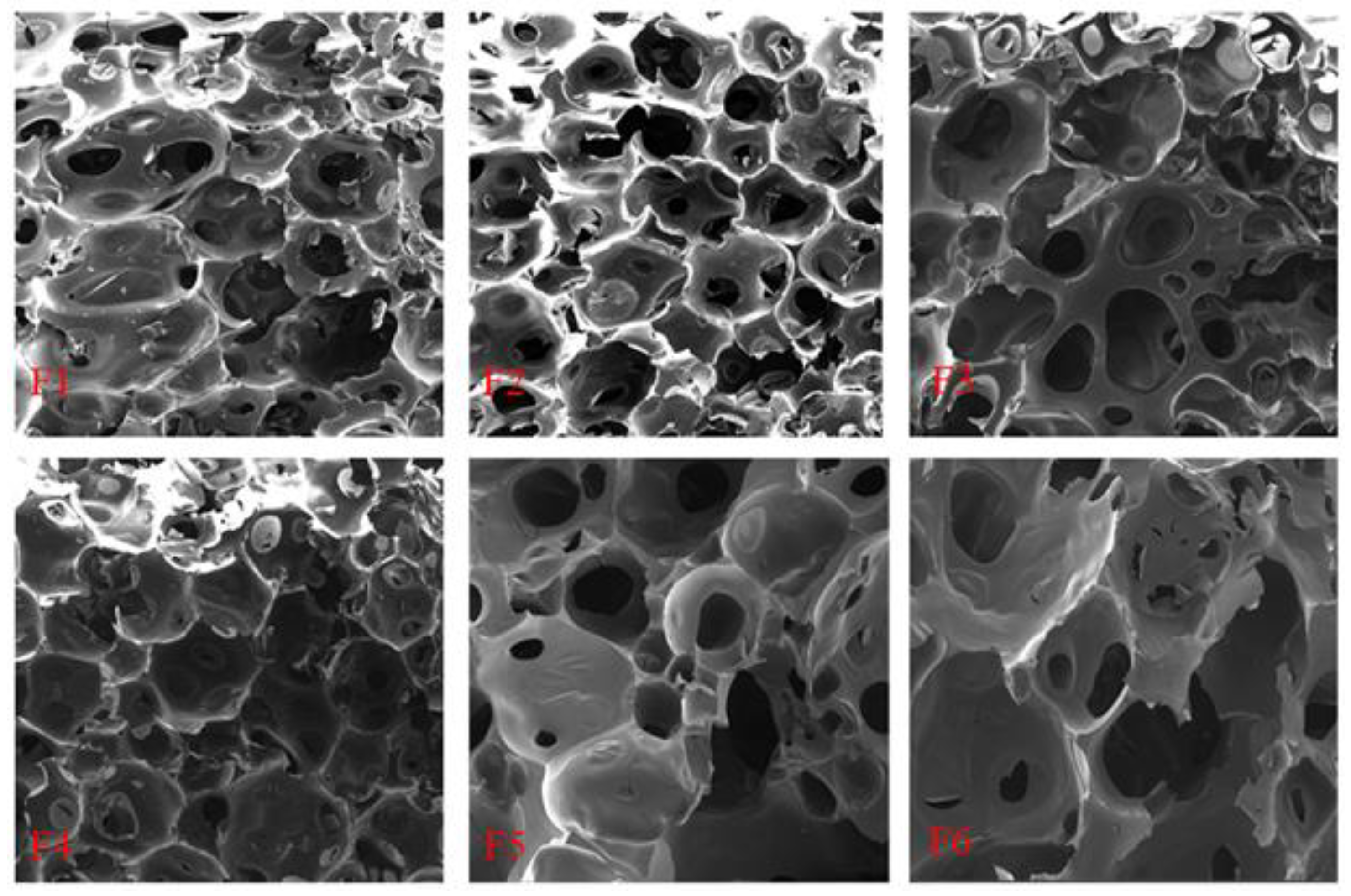 Polymers 16 02899 g011