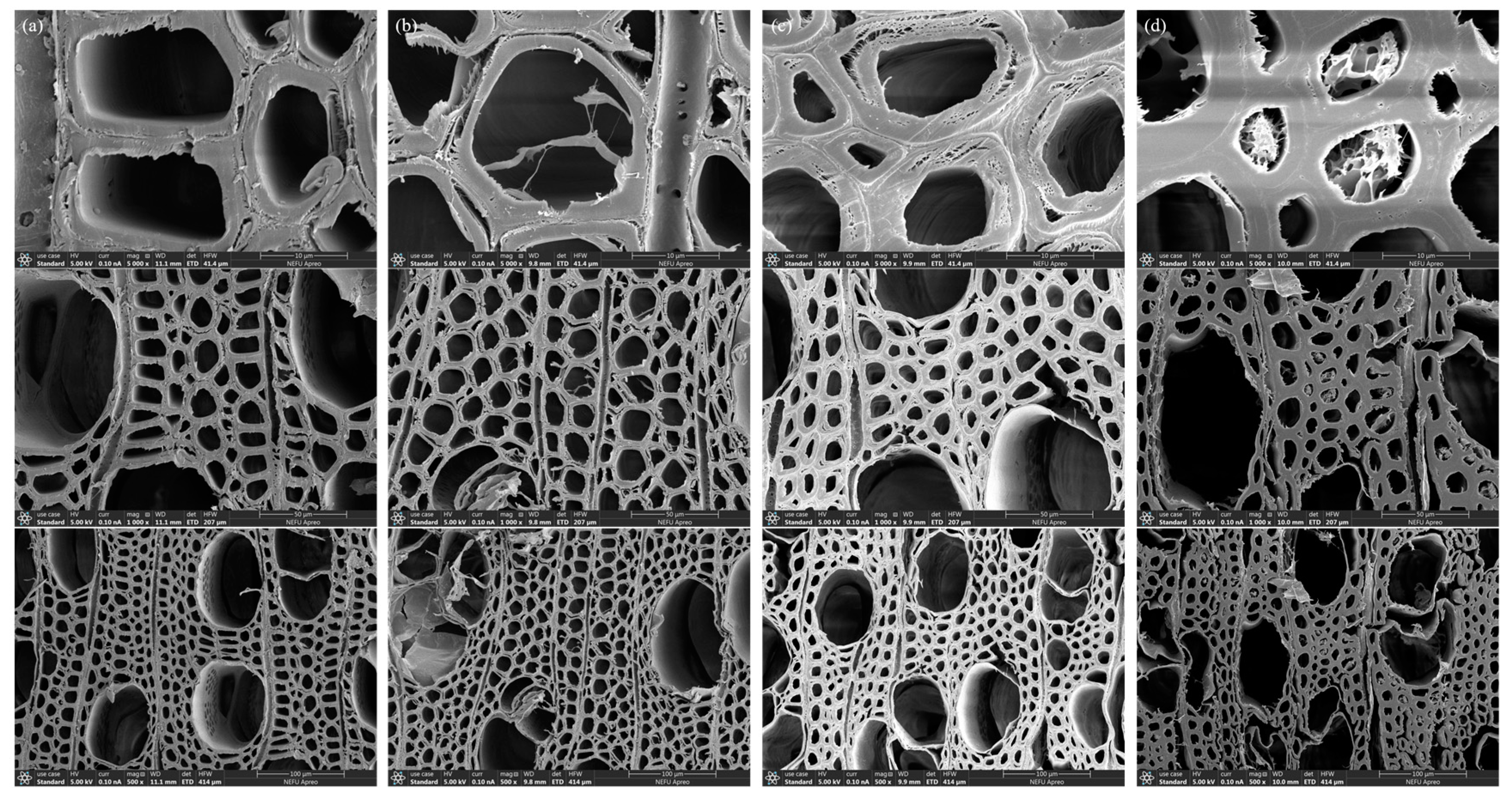 Polymers 16 02900 g004