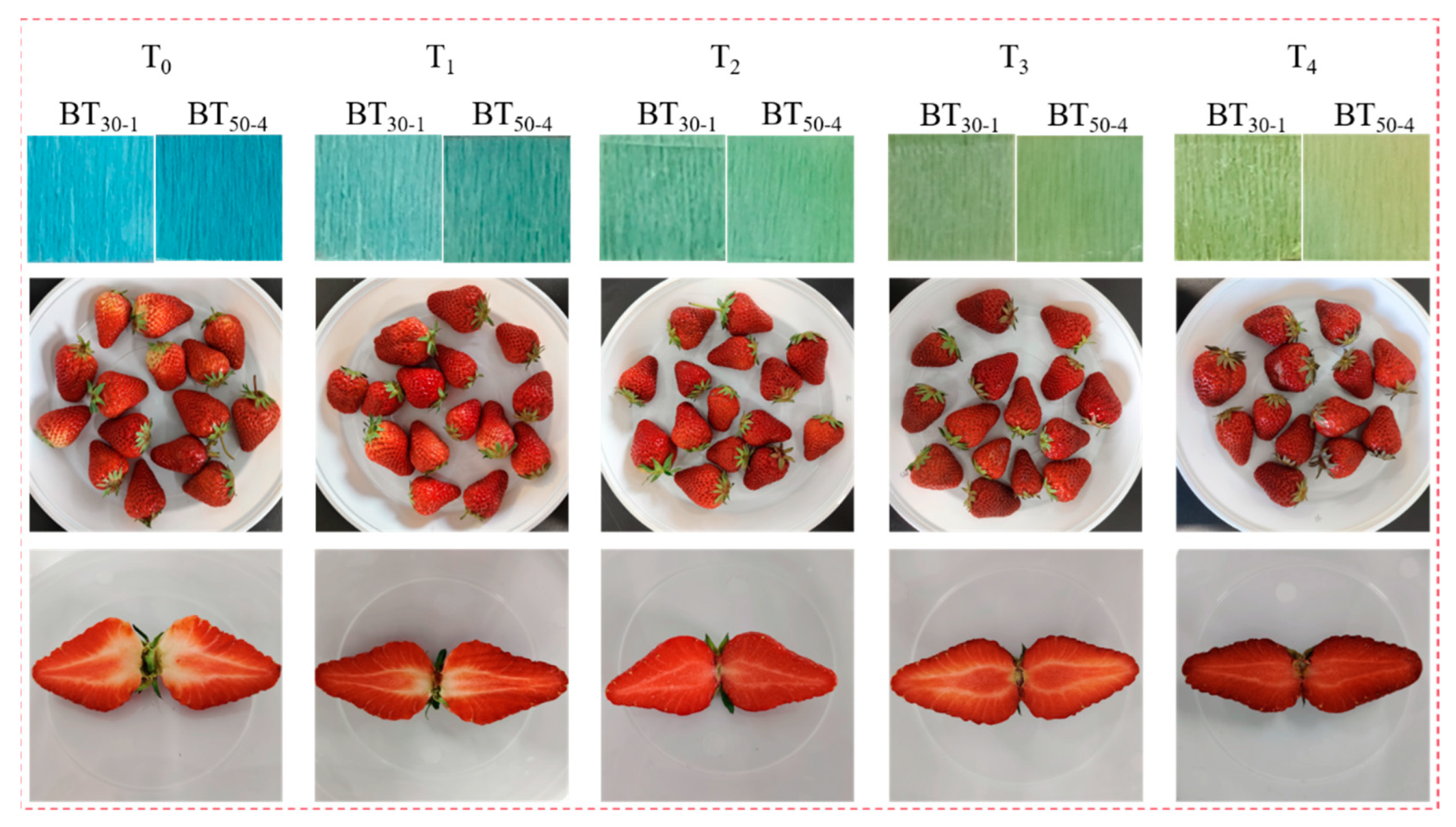 Polymers 16 02900 g010