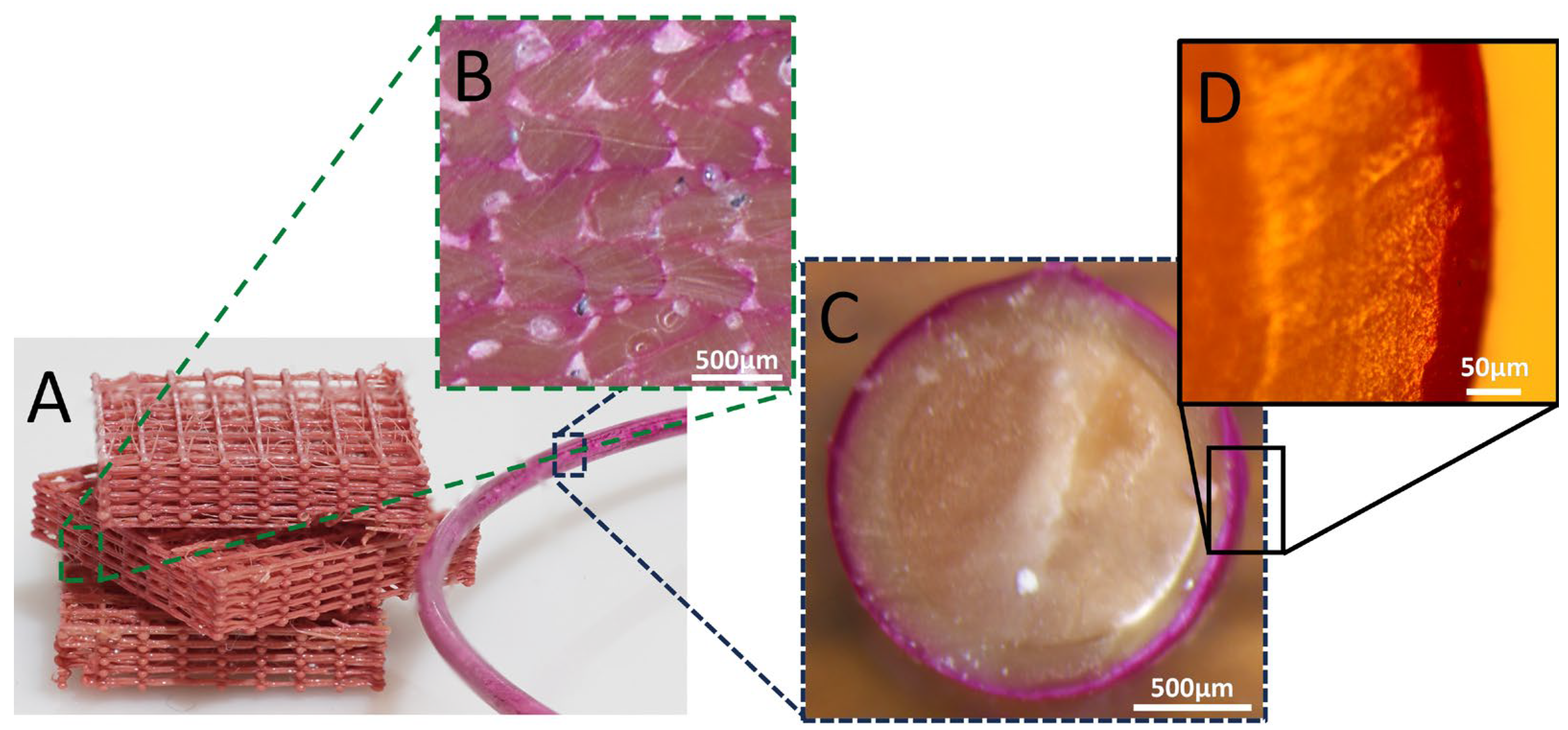 Polymers 16 02904 g003