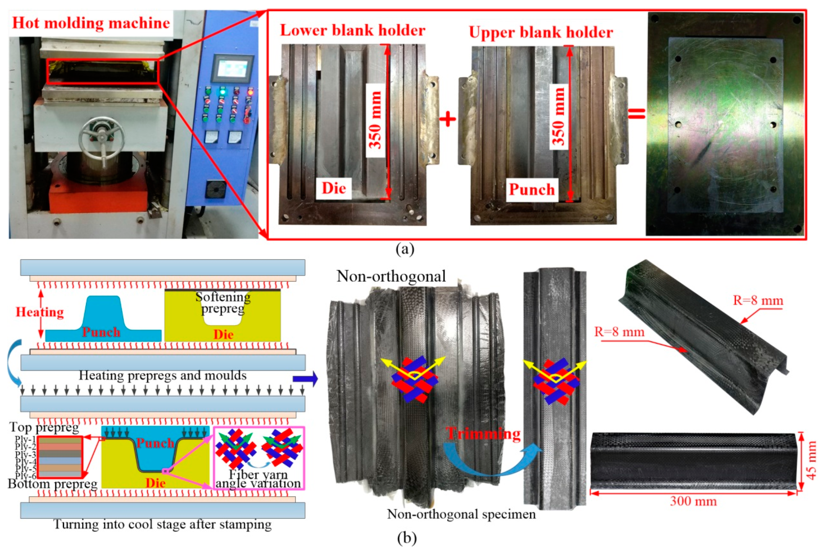Polymers 16 02905 g002