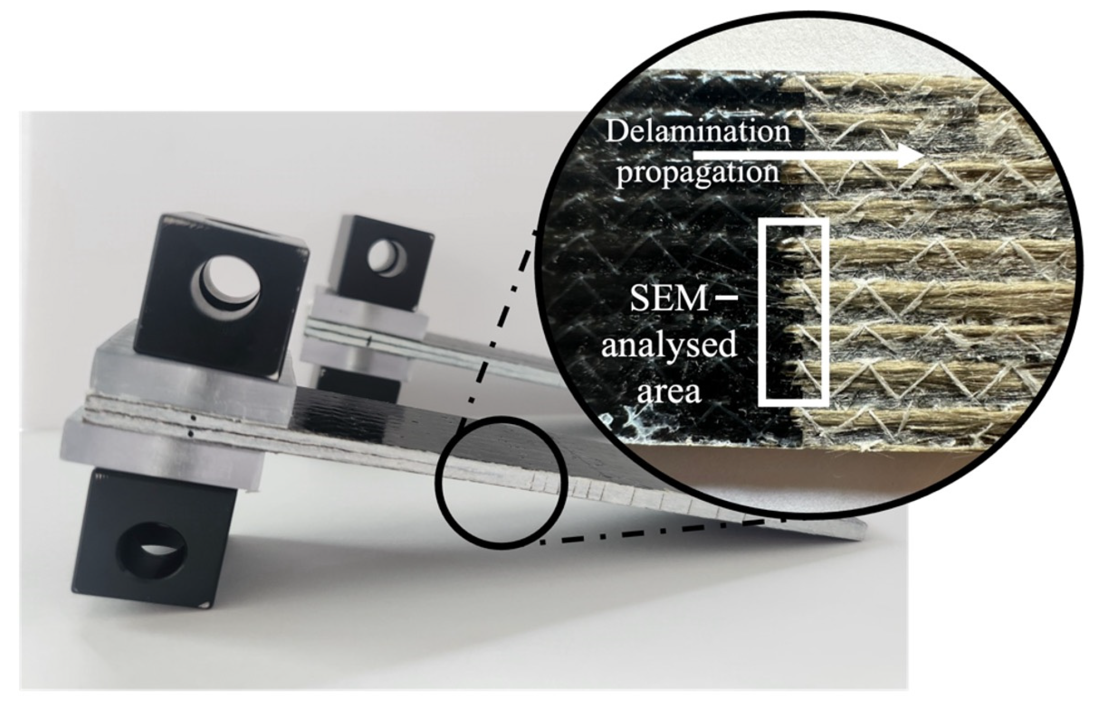 Polymers 16 02909 g005