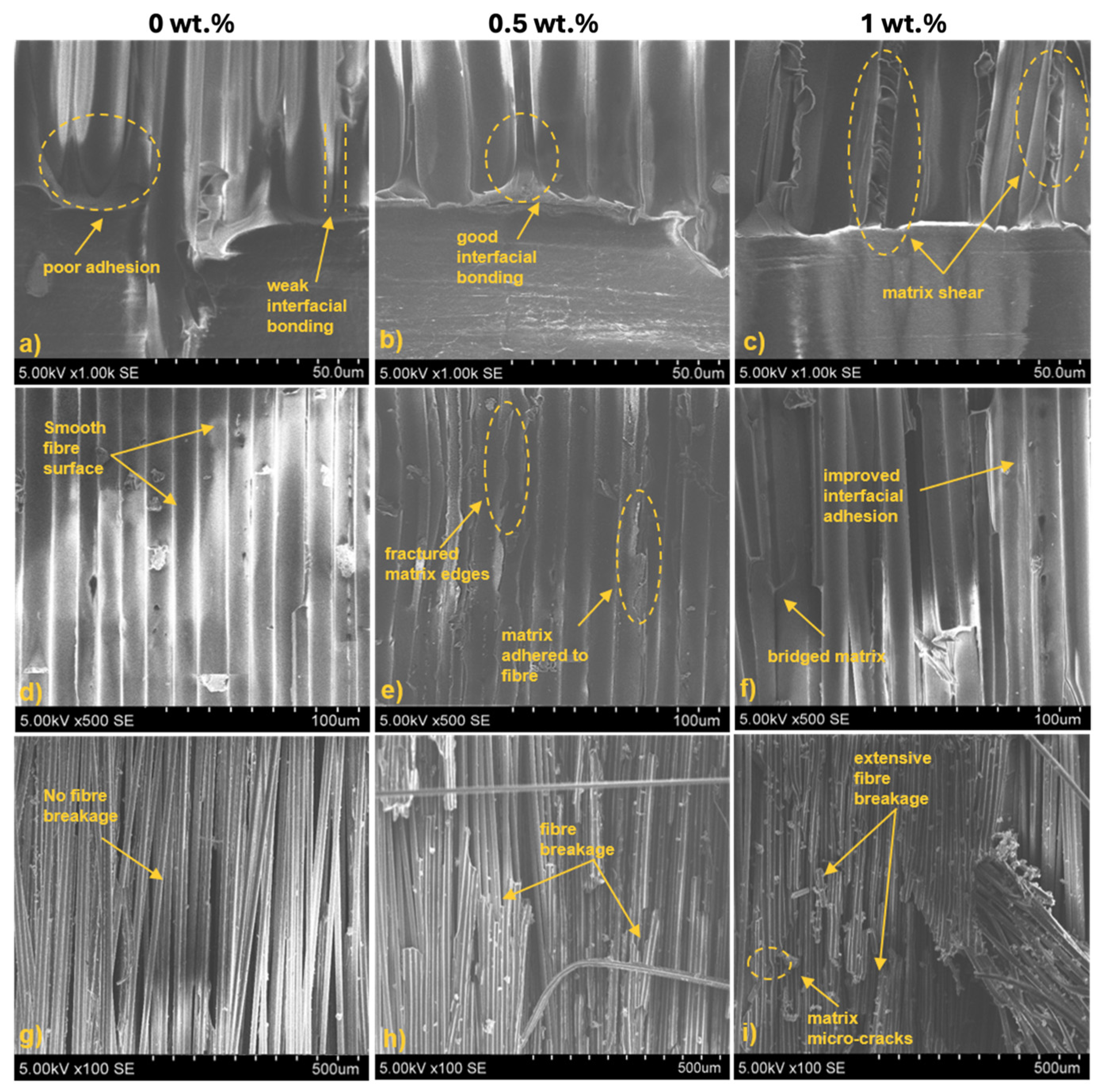 Polymers 16 02909 g012