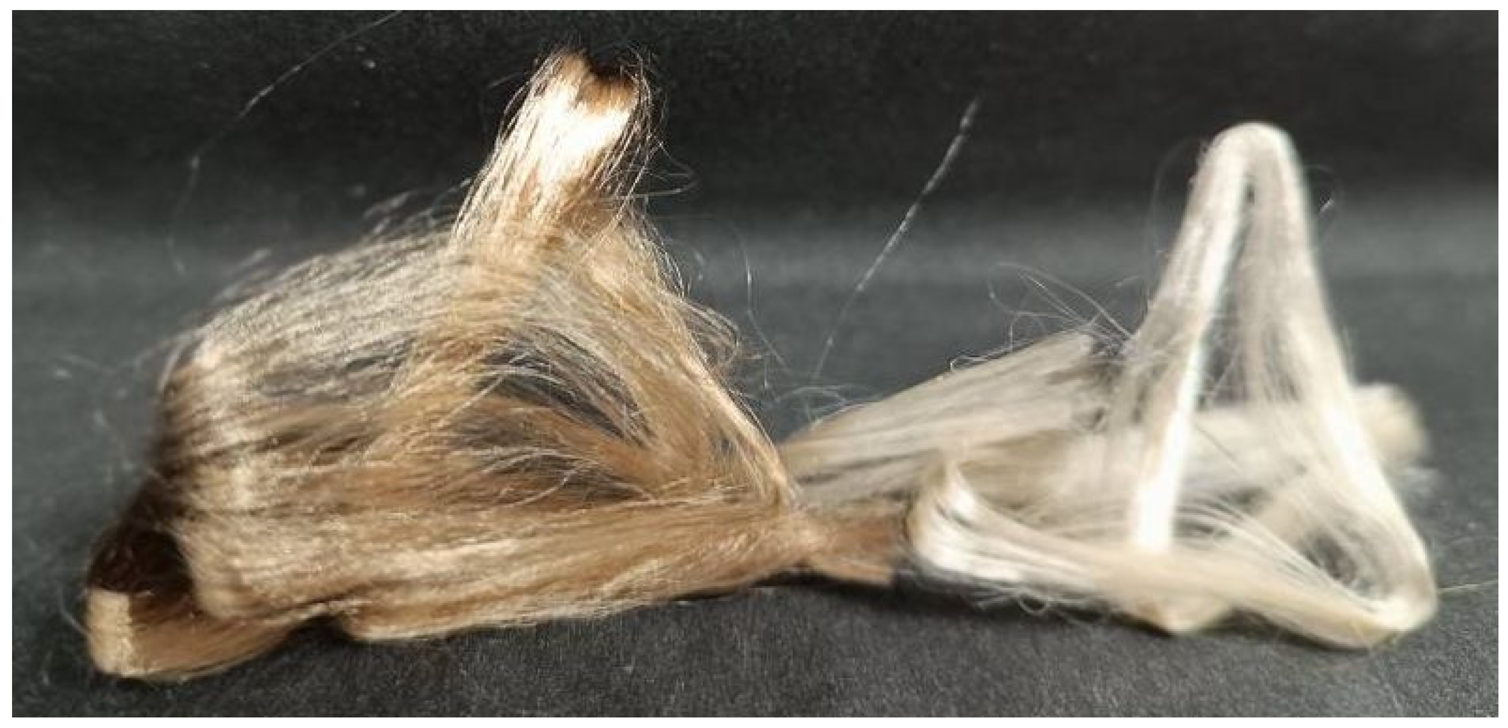 Polymers 16 02915 g010