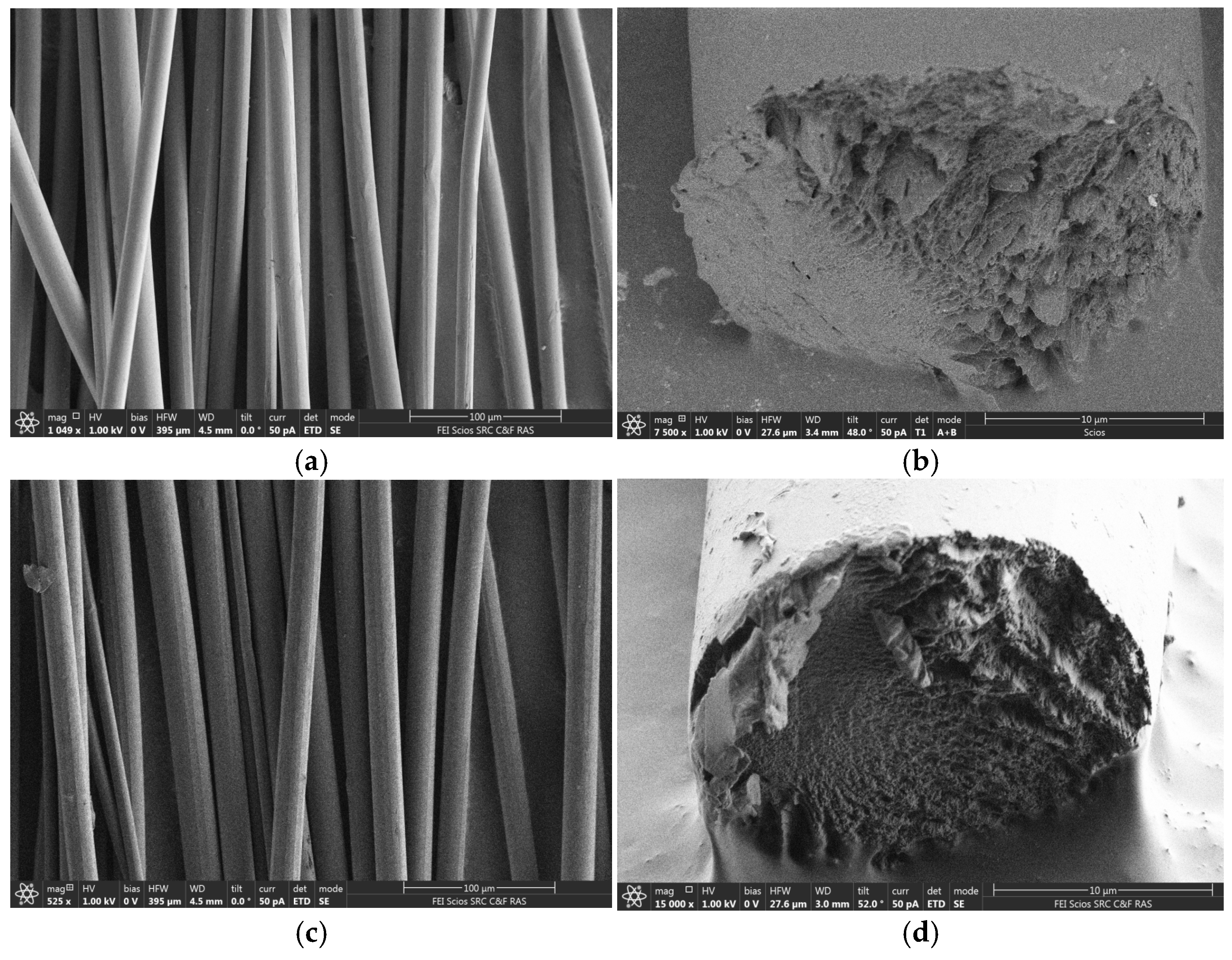 Polymers 16 02915 g013