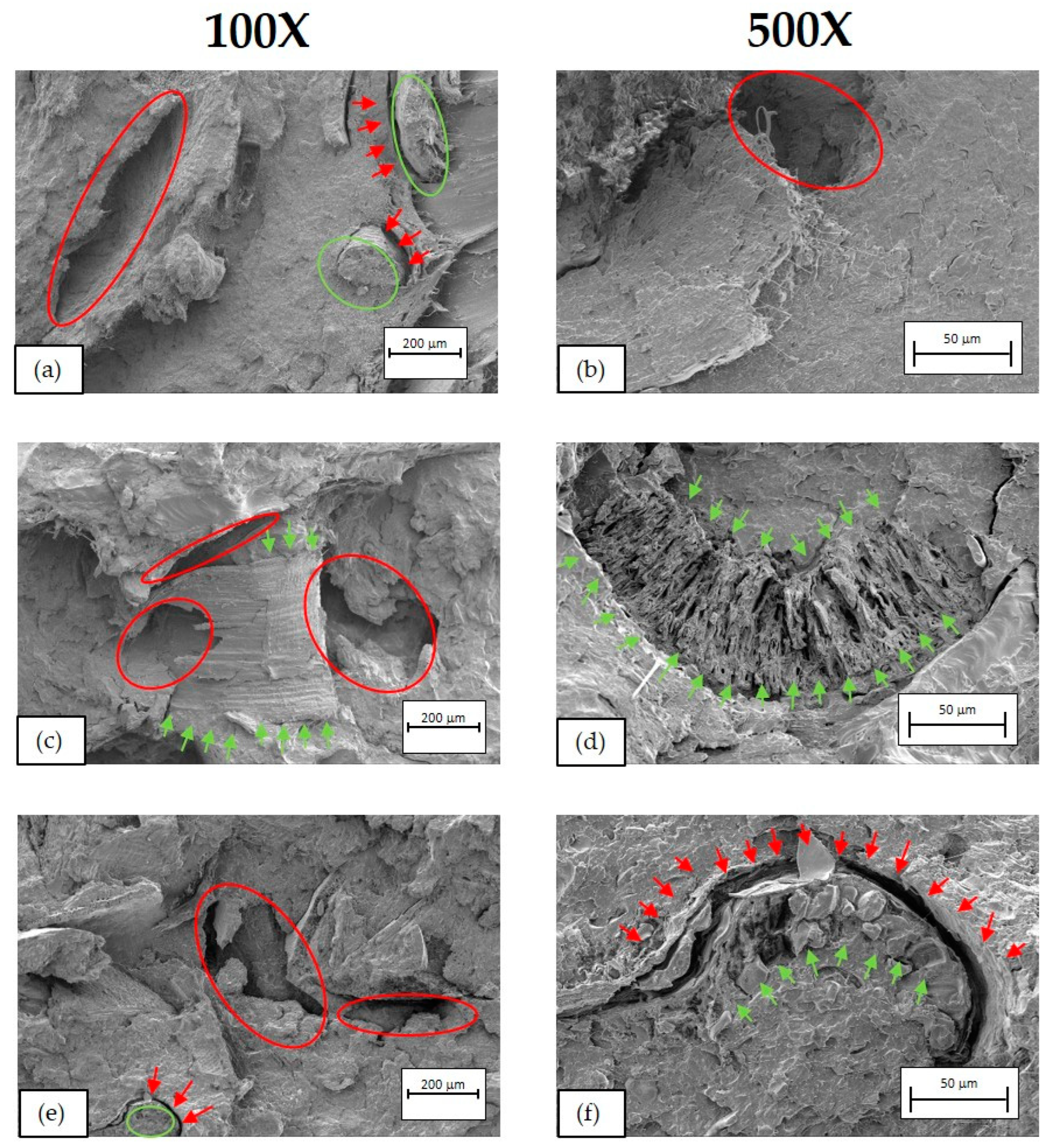 Polymers 16 02916 g017 Polymers 16 02916 g017