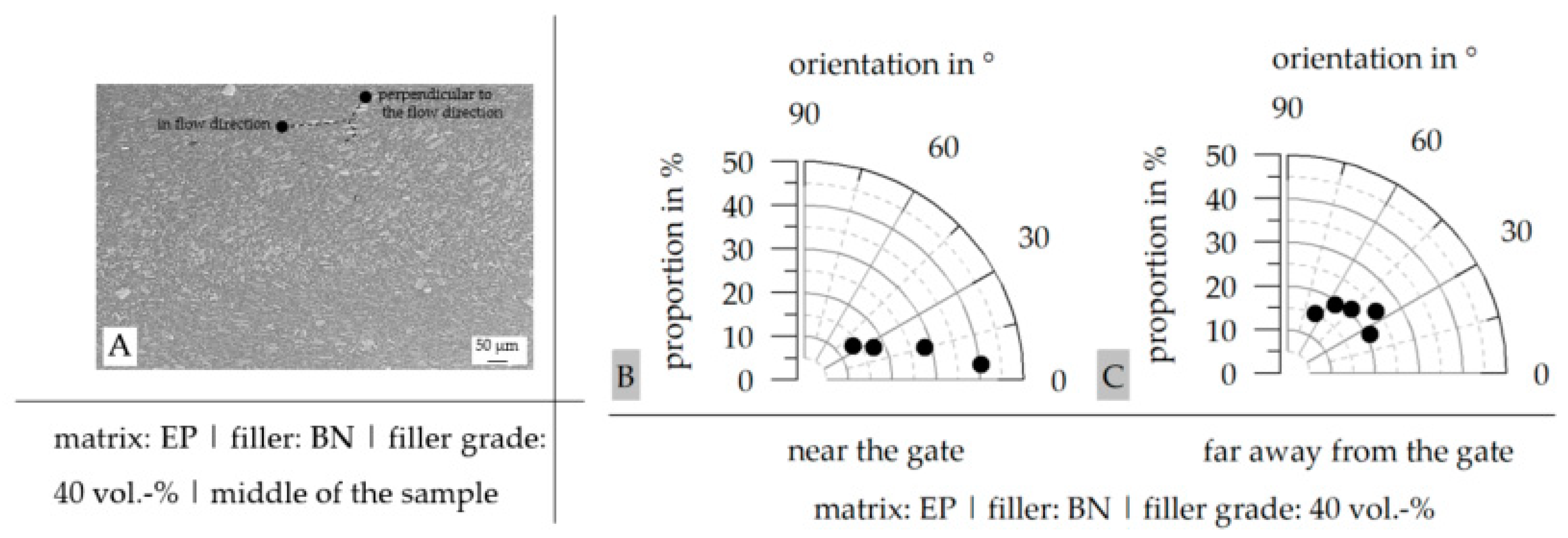 Polymers 16 02917 g012