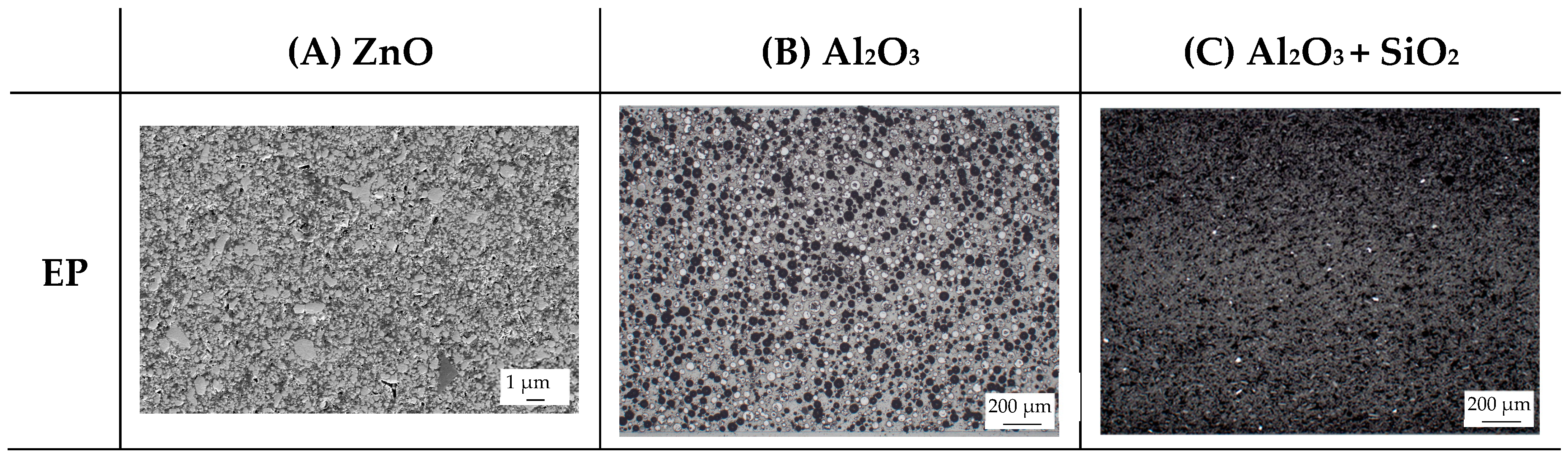 Polymers 16 02917 g013