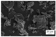 Polymers 16 02917 i001