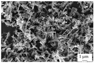 Polymers 16 02917 i002