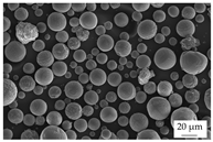 Polymers 16 02917 i003