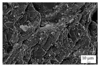 Polymers 16 02917 i009