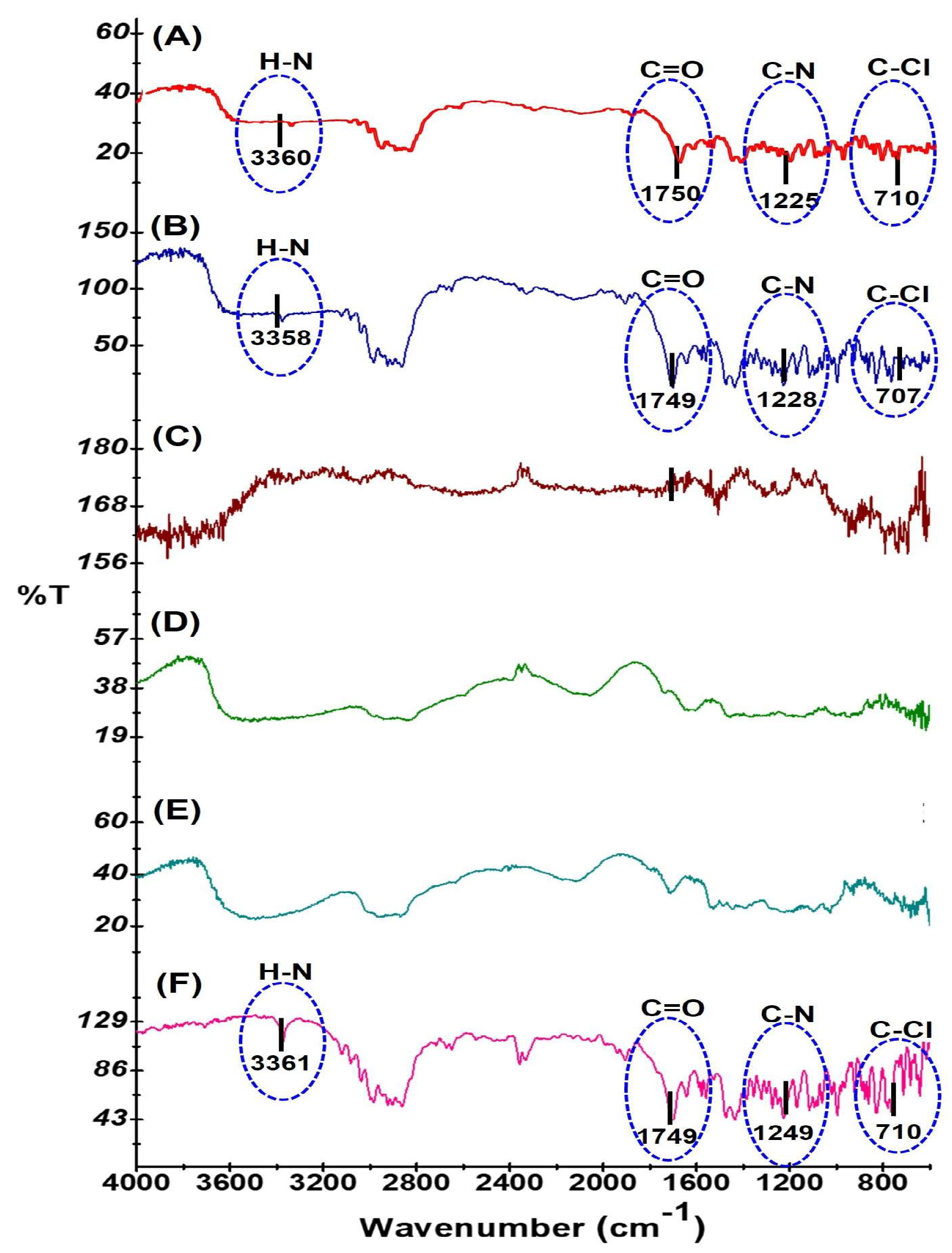 Polymers 16 02919 g002