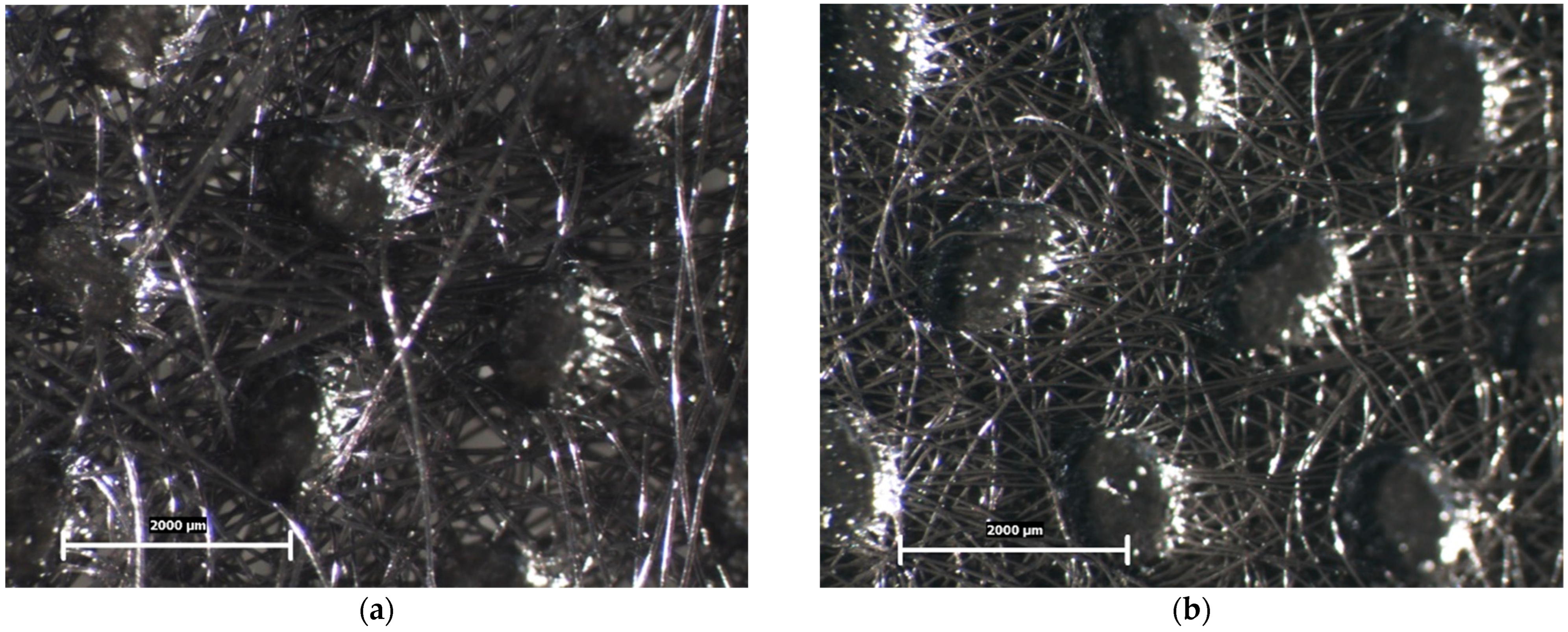Polymers 16 02920 g002