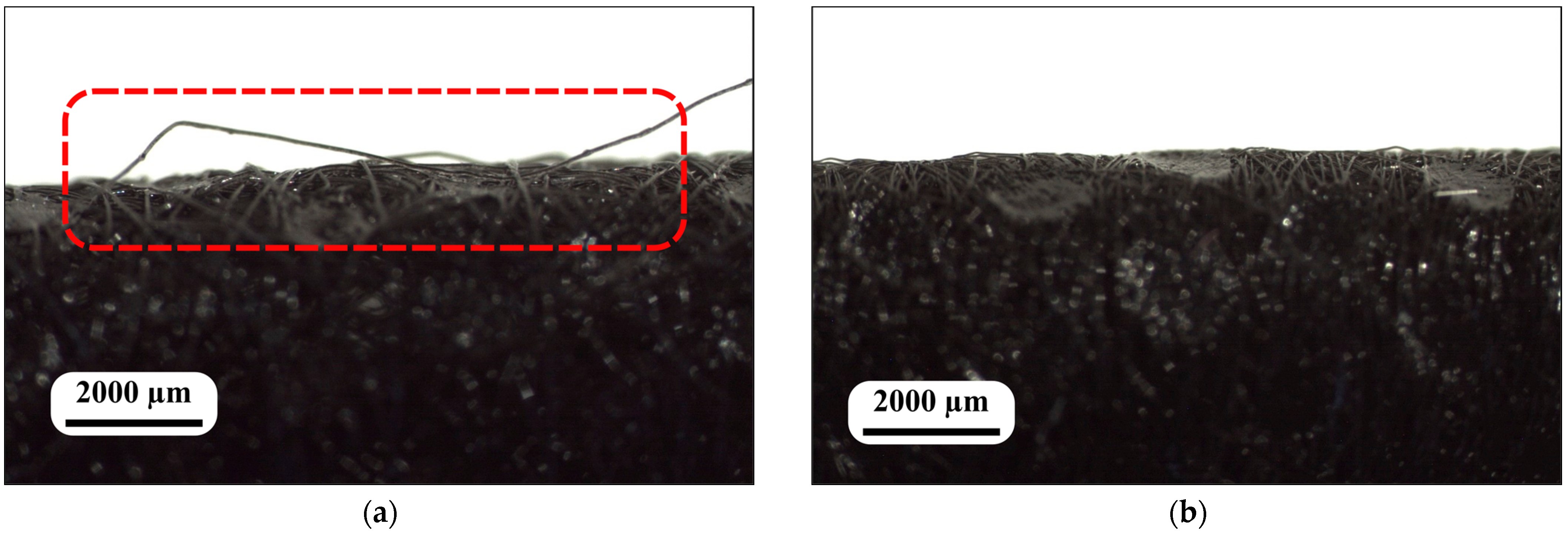 Polymers 16 02920 g003