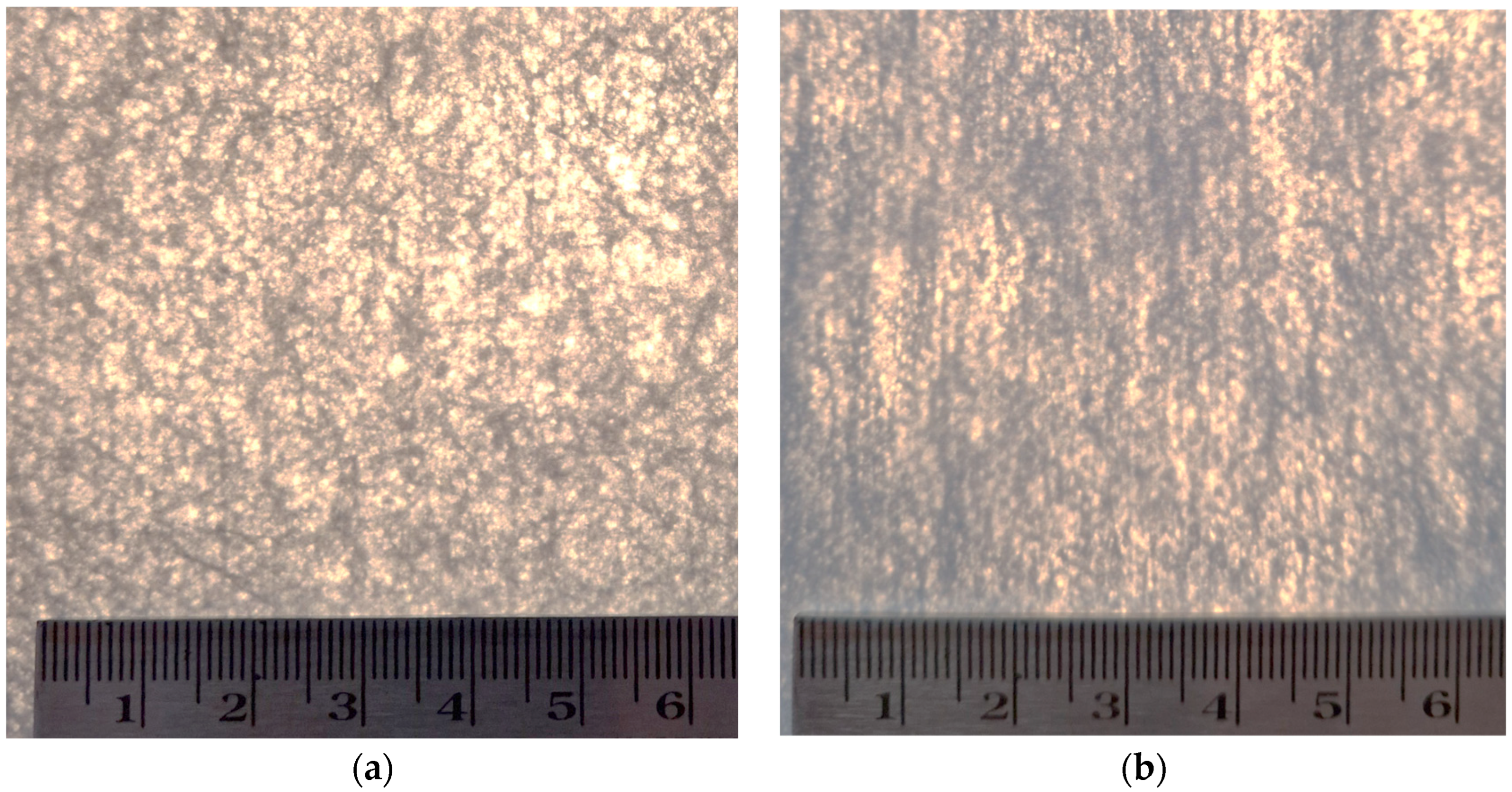 Polymers 16 02920 g004