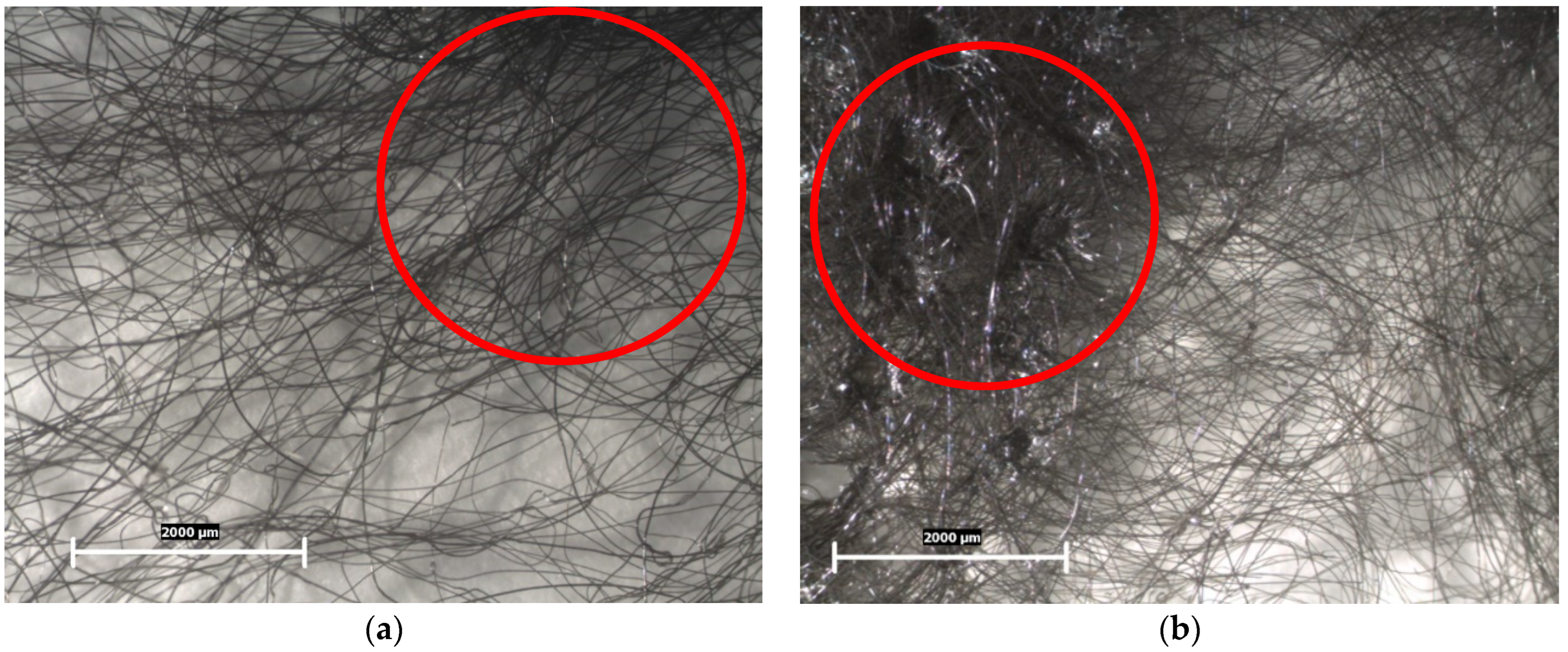Polymers 16 02920 g006
