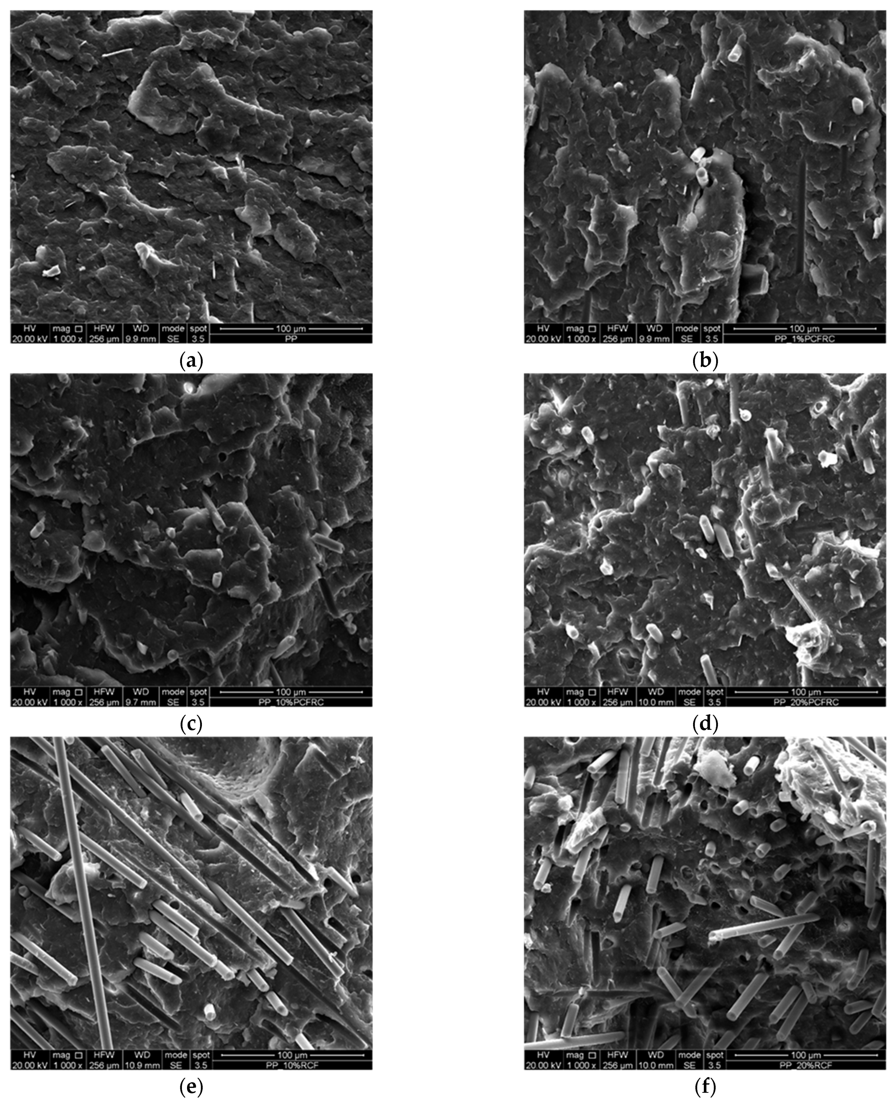 Polymers 16 02922 g005