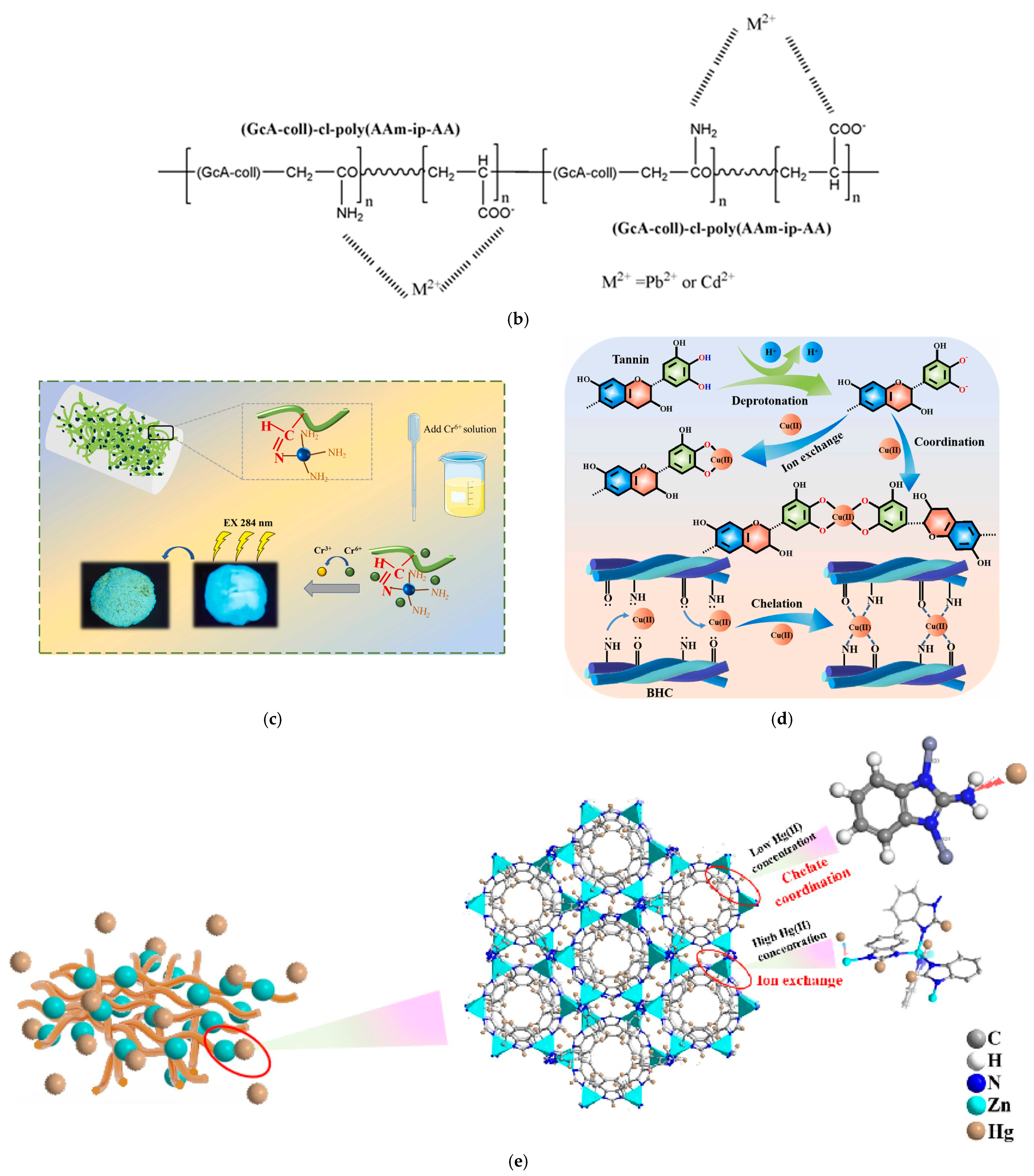 Polymers 16 02923 g002b