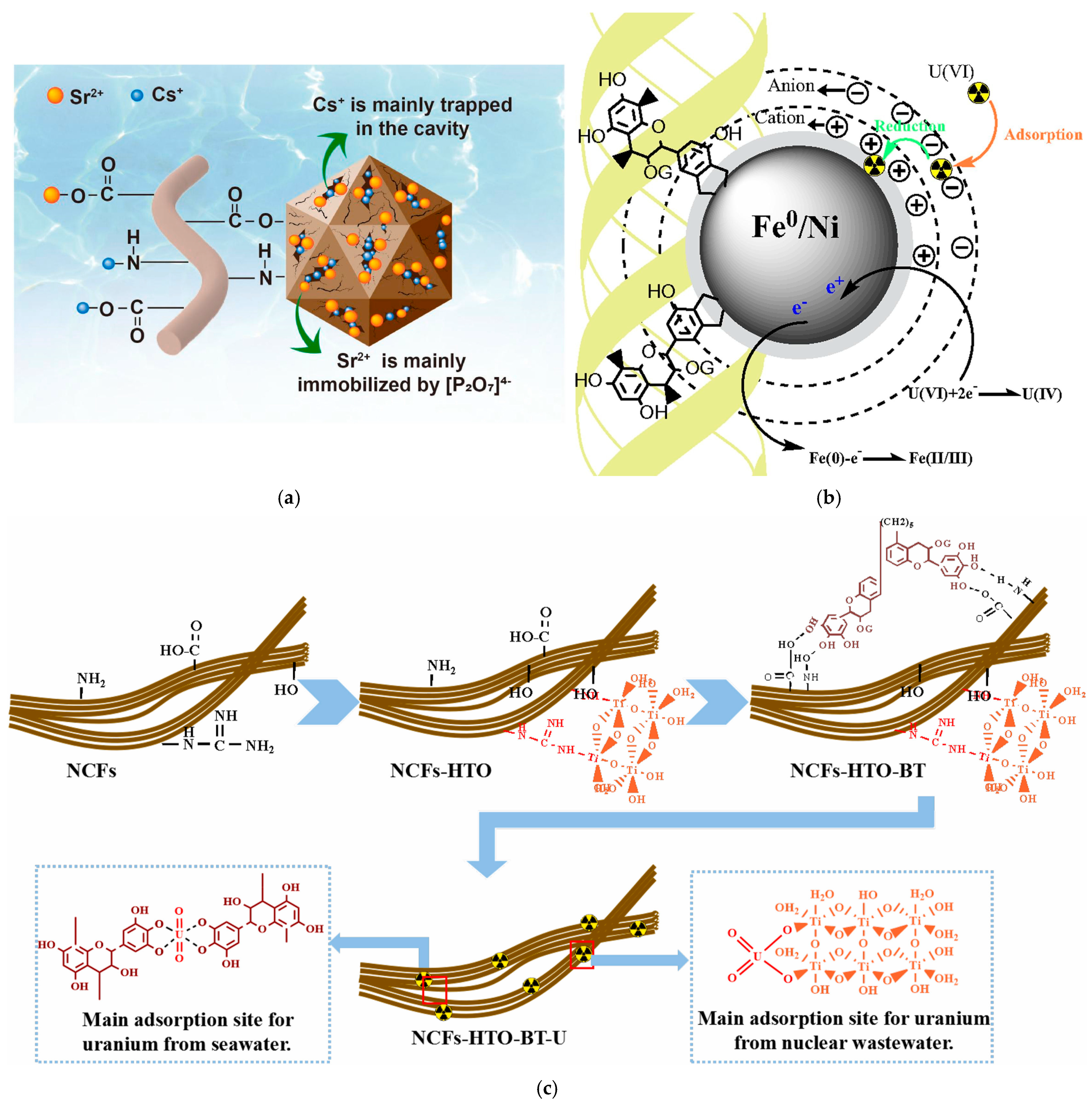 Polymers 16 02923 g005