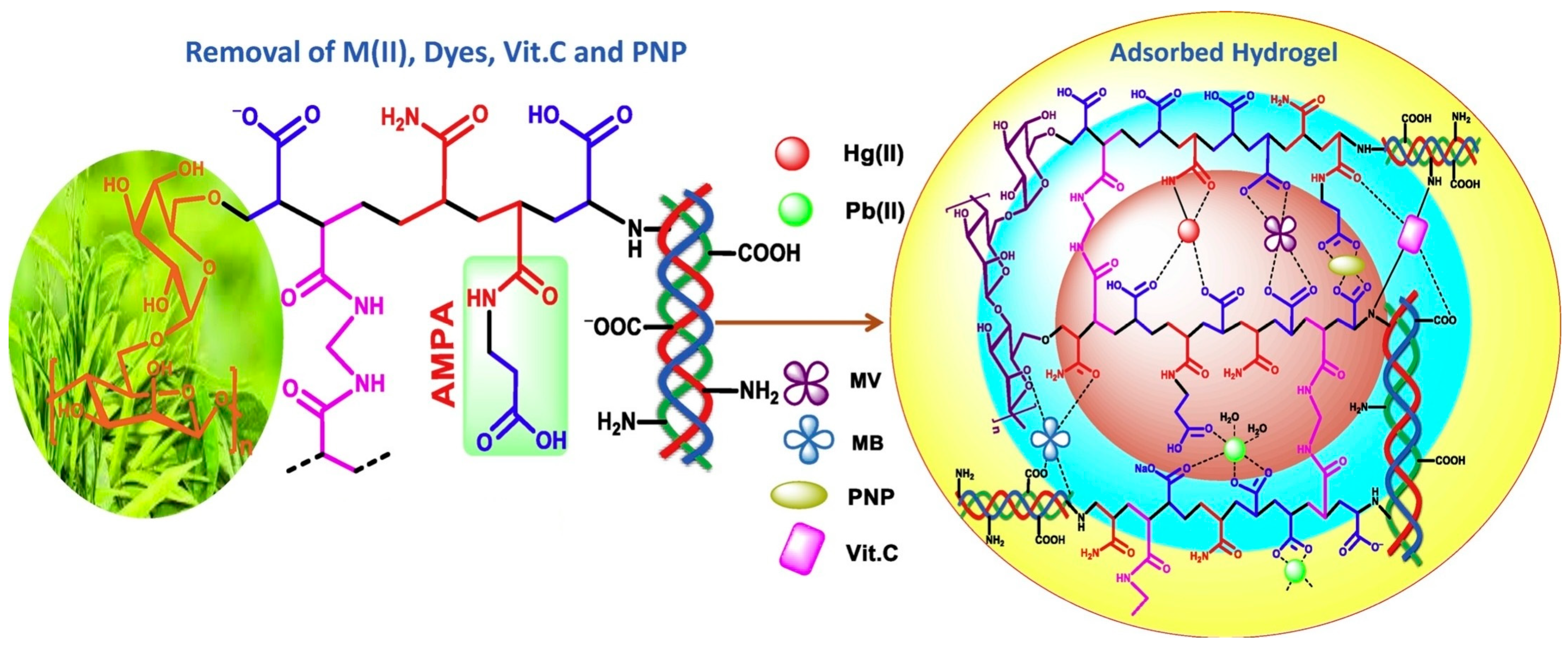 Polymers 16 02923 g006