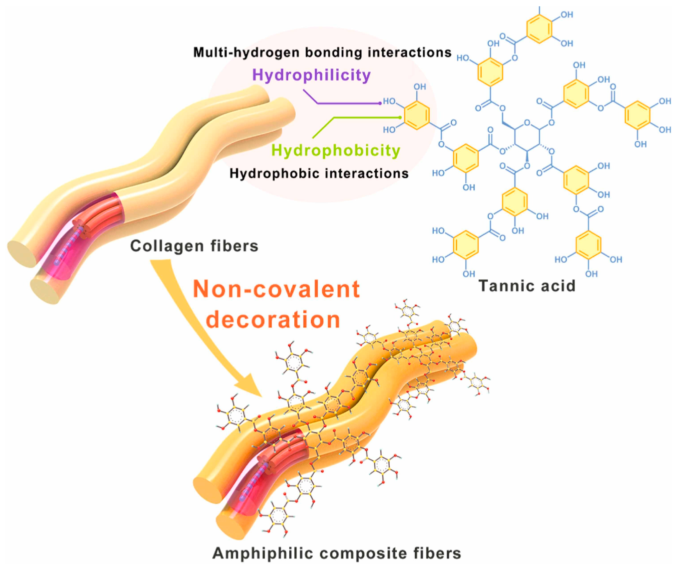 Polymers 16 02923 g008