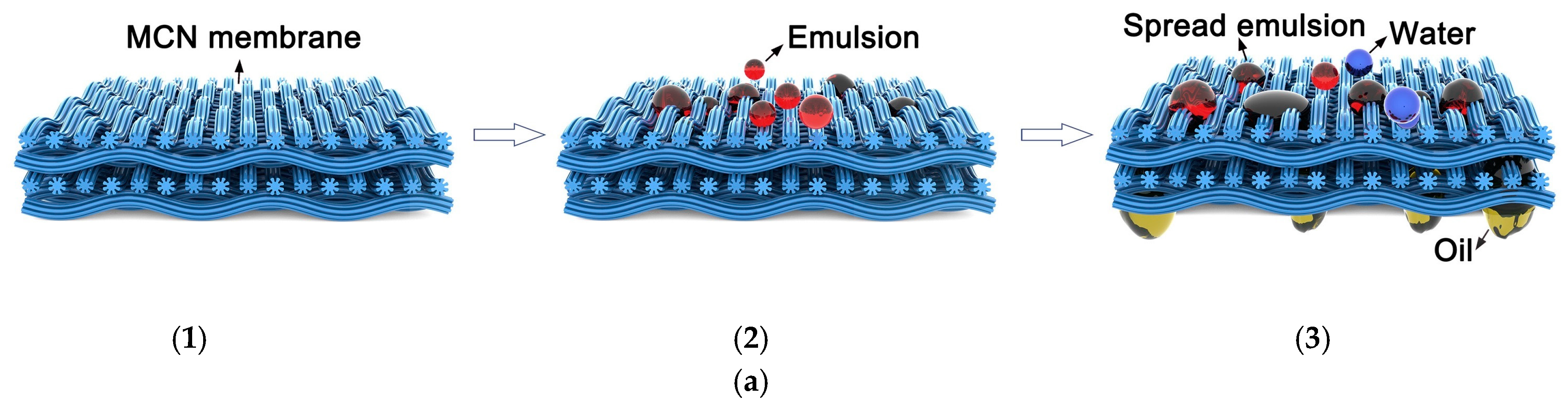 Polymers 16 02923 g009a