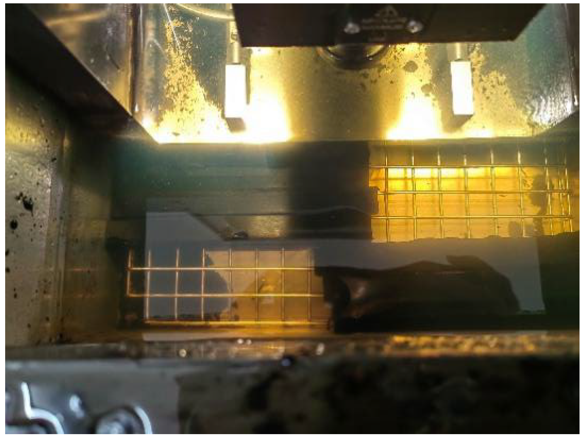 Polymers 16 02924 g008