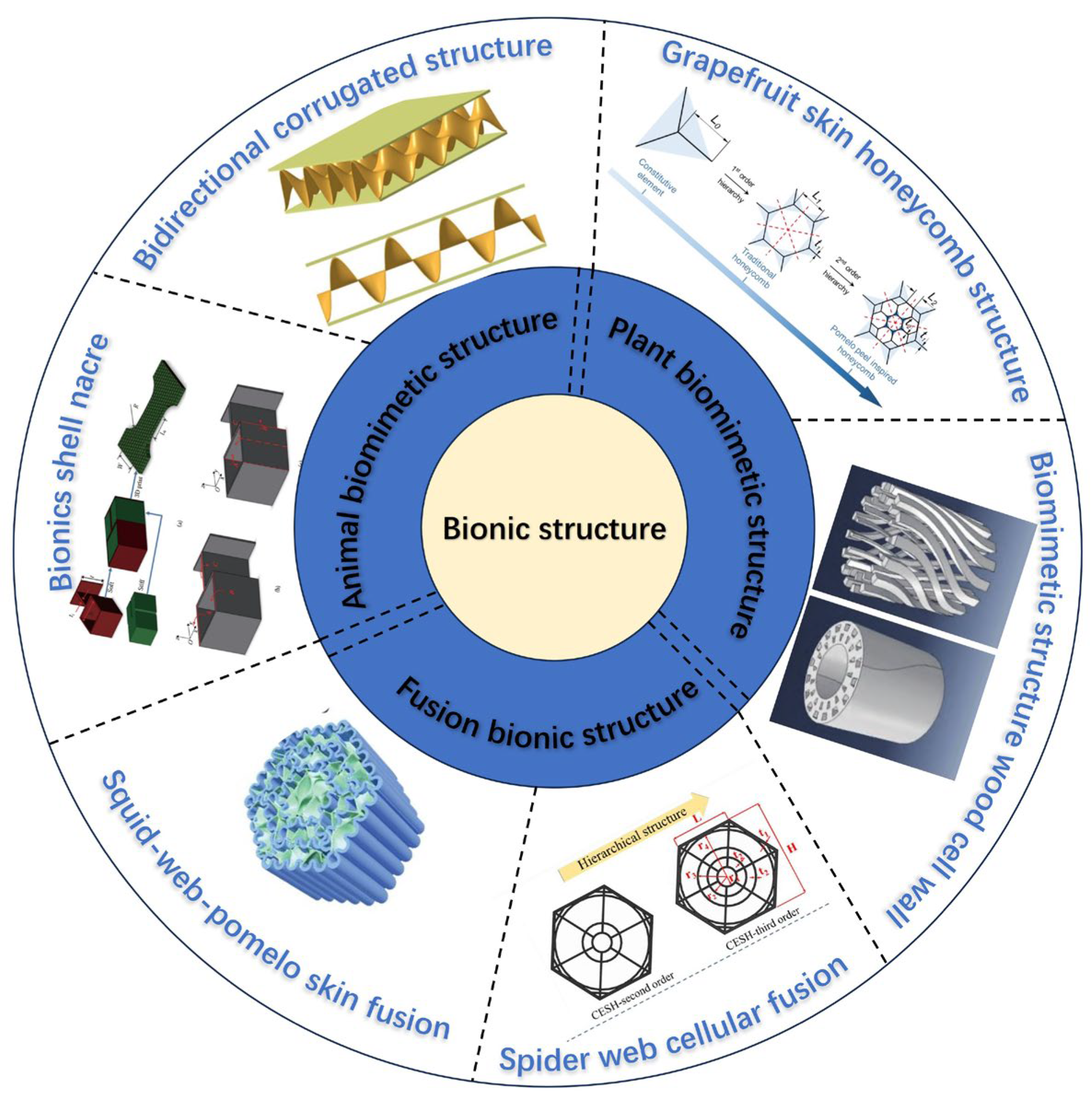 Polymers 16 02925 g009