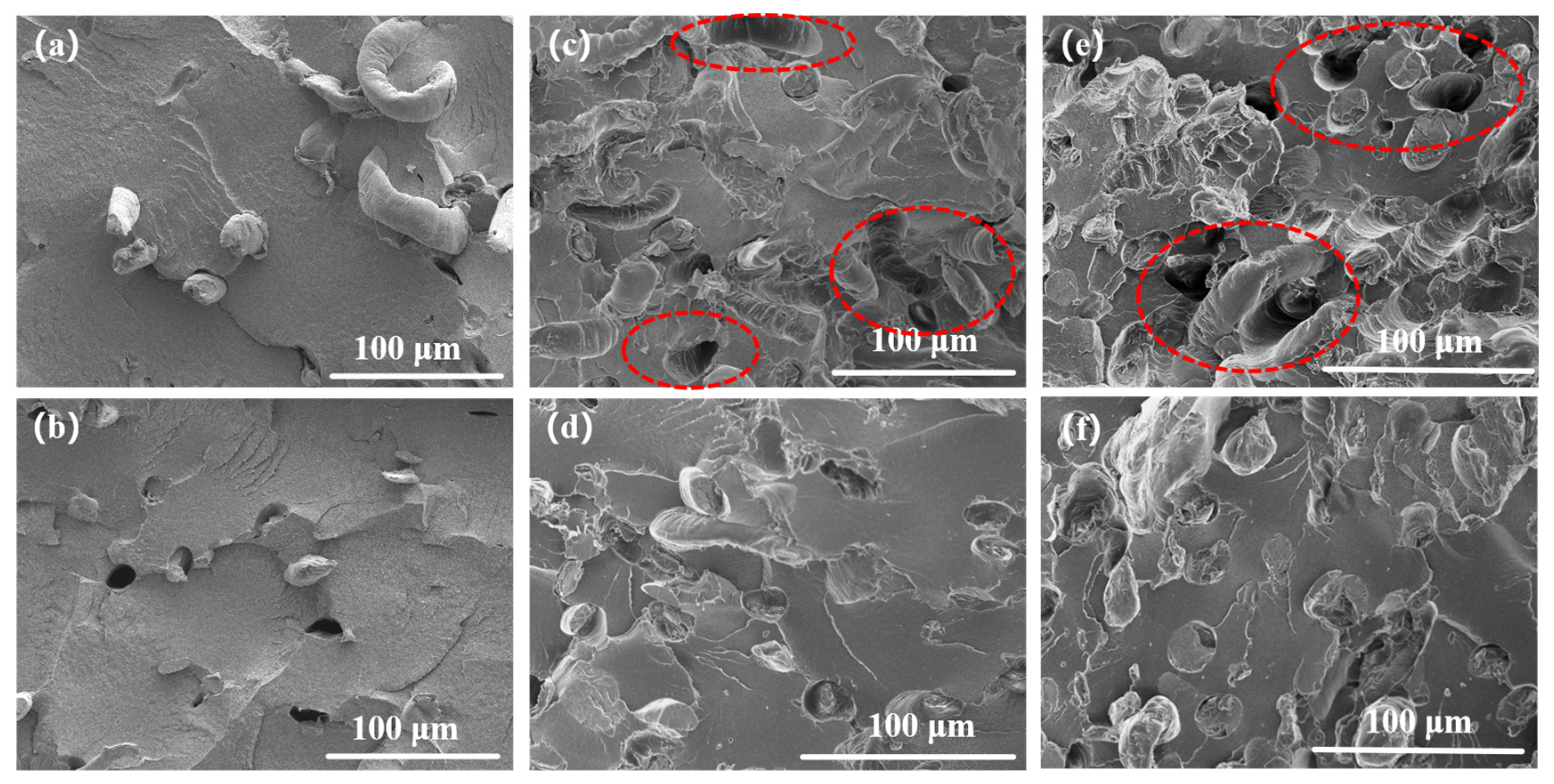 Polymers 16 02929 g006