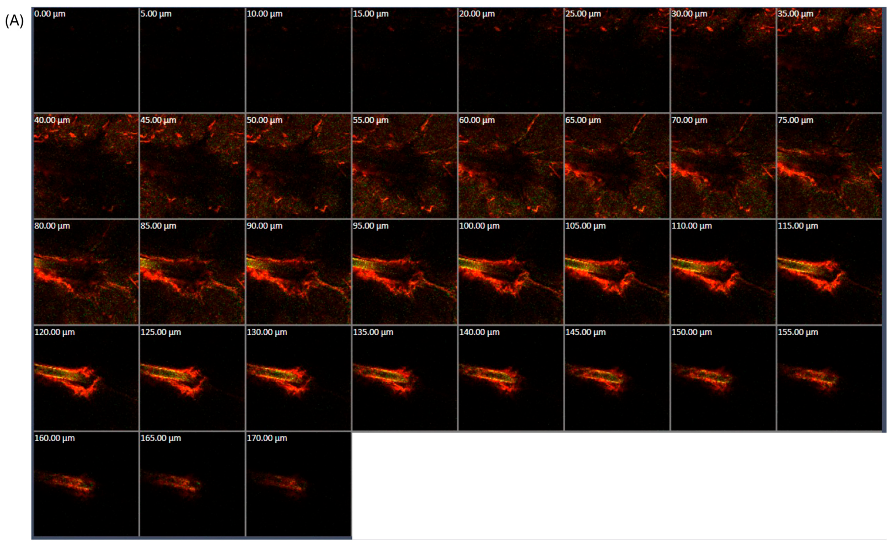 Polymers 16 02930 g005a Polymers 16 02930 g005a