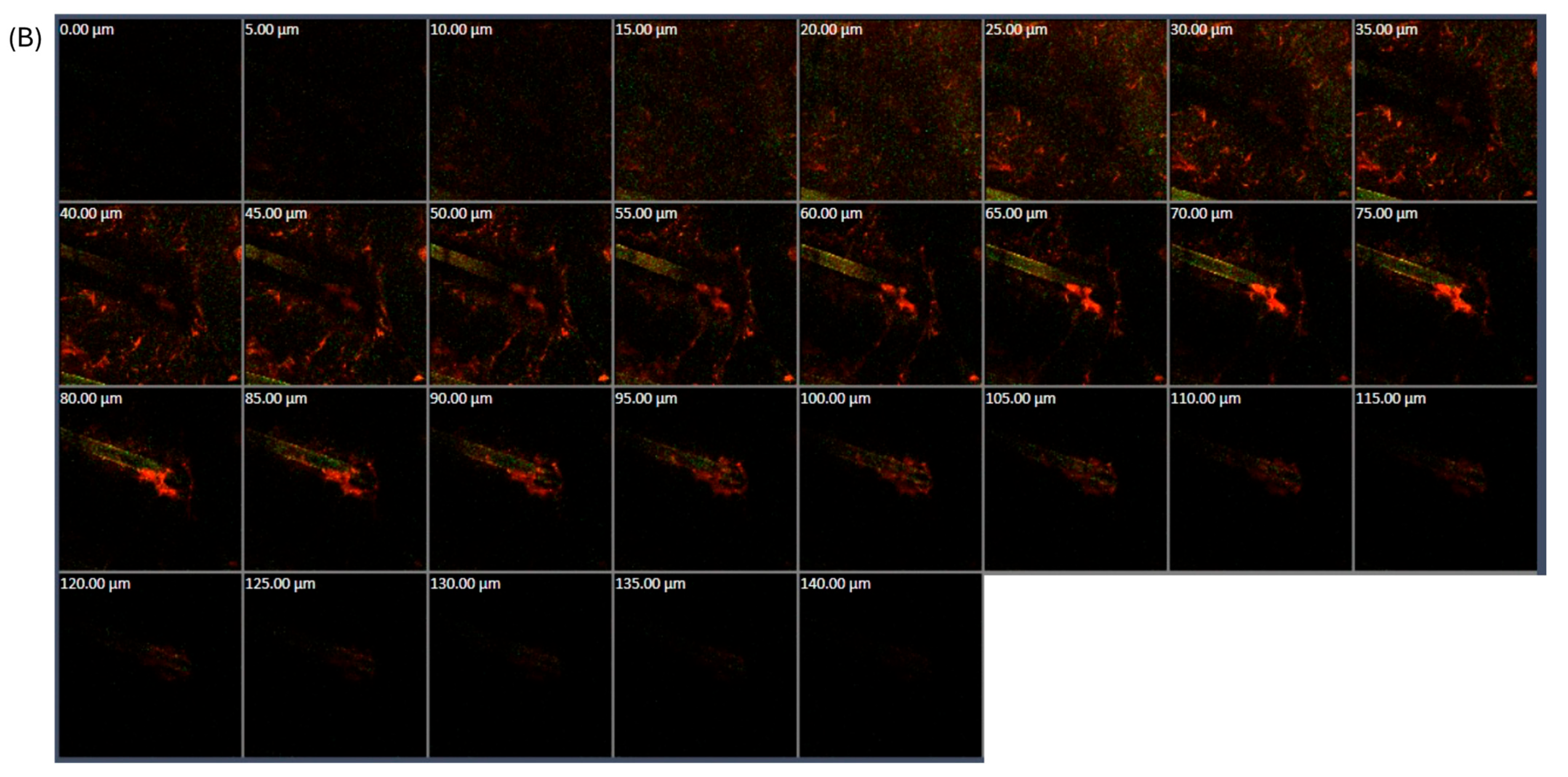 Polymers 16 02930 g005b Polymers 16 02930 g005b