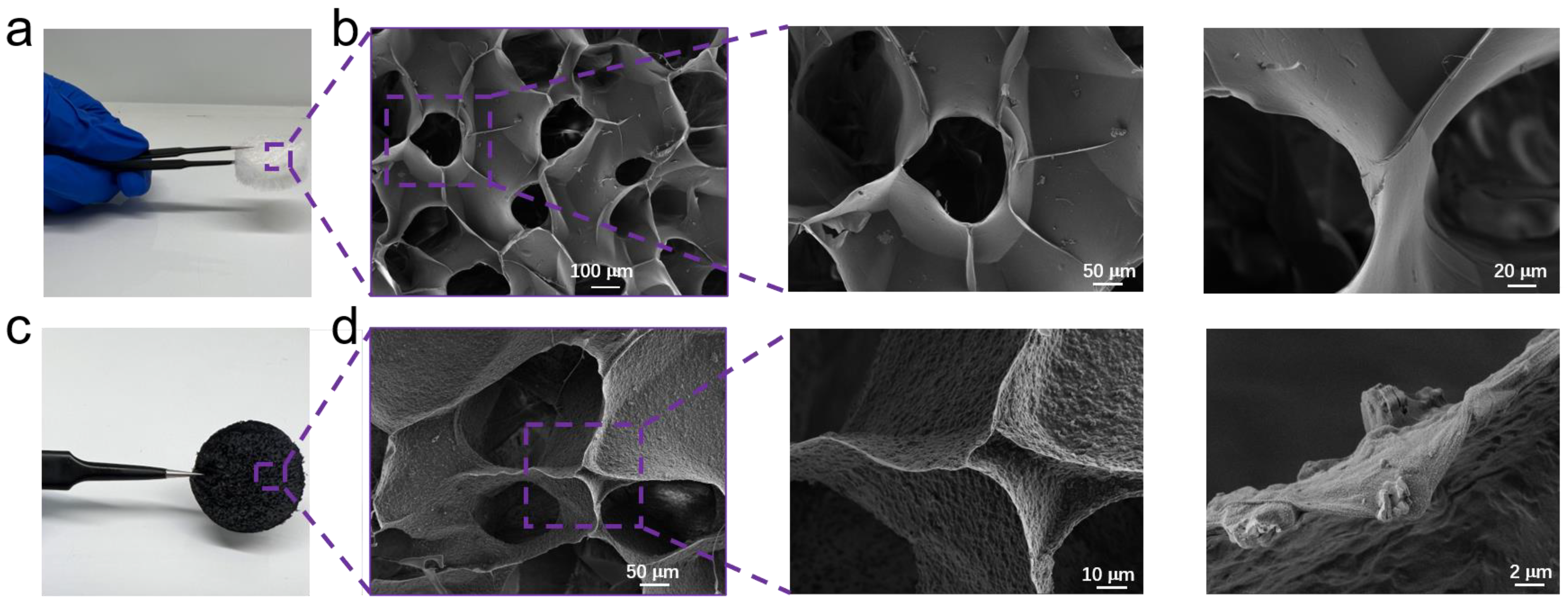 Polymers 16 02933 g001