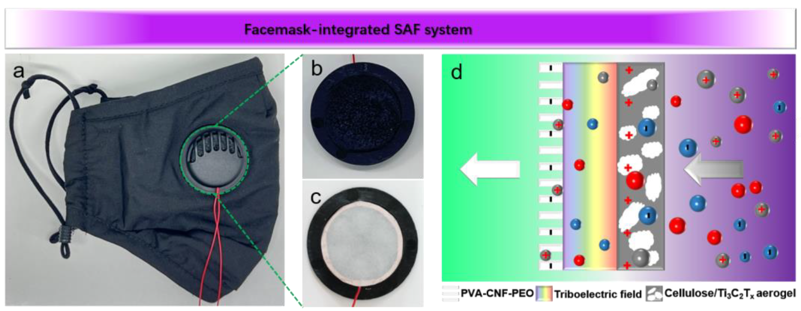 Polymers 16 02933 g004