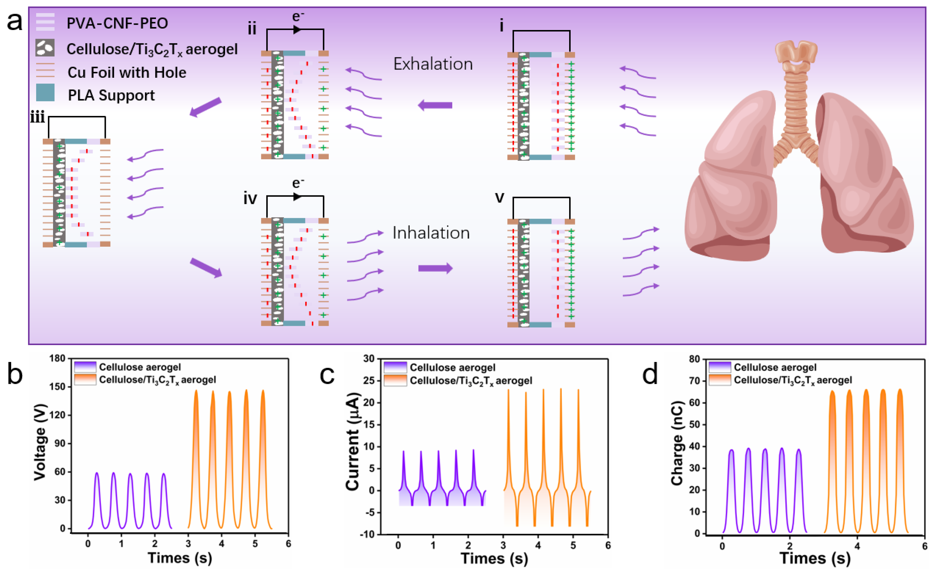 Polymers 16 02933 g006