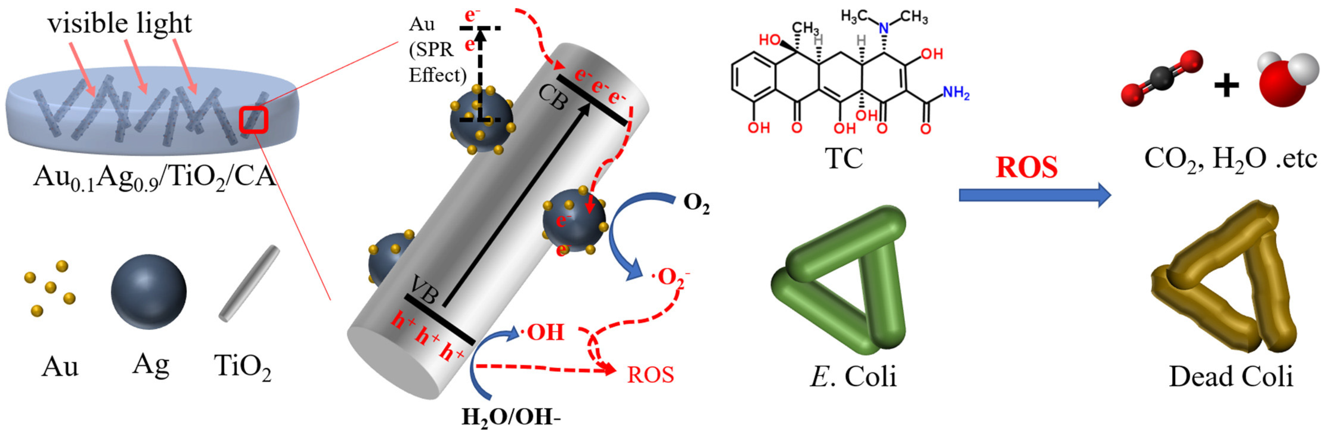 Polymers 16 02938 g001