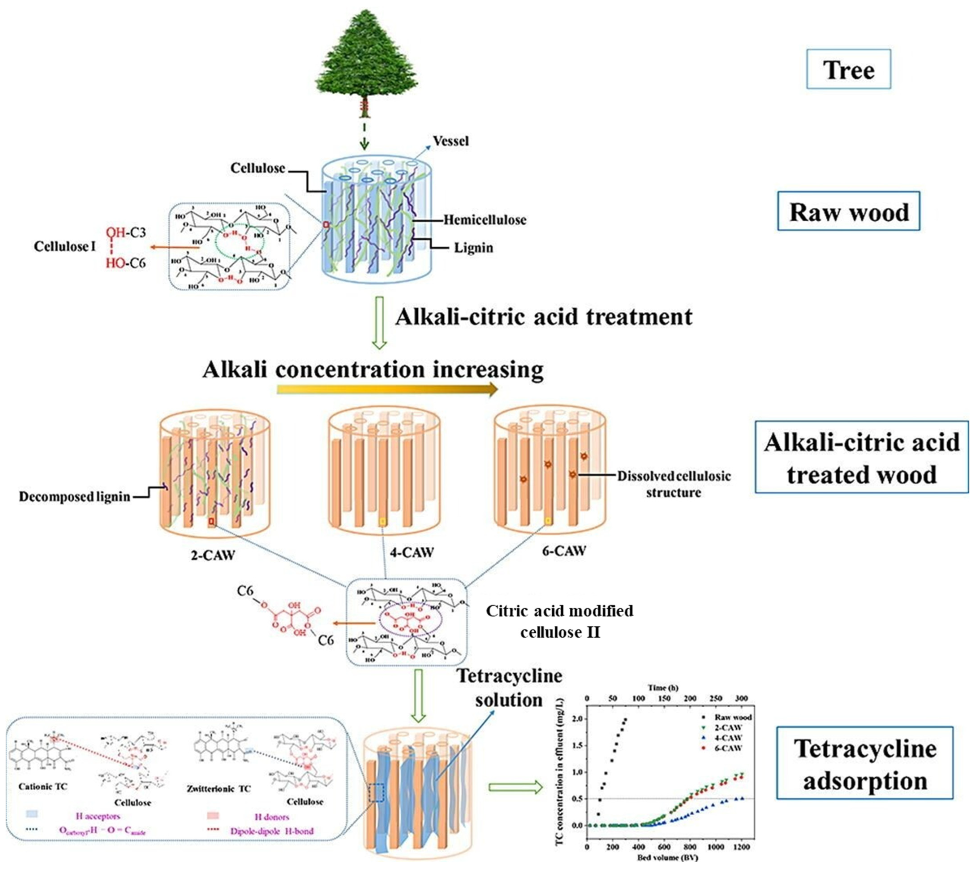 Polymers 16 02938 g002