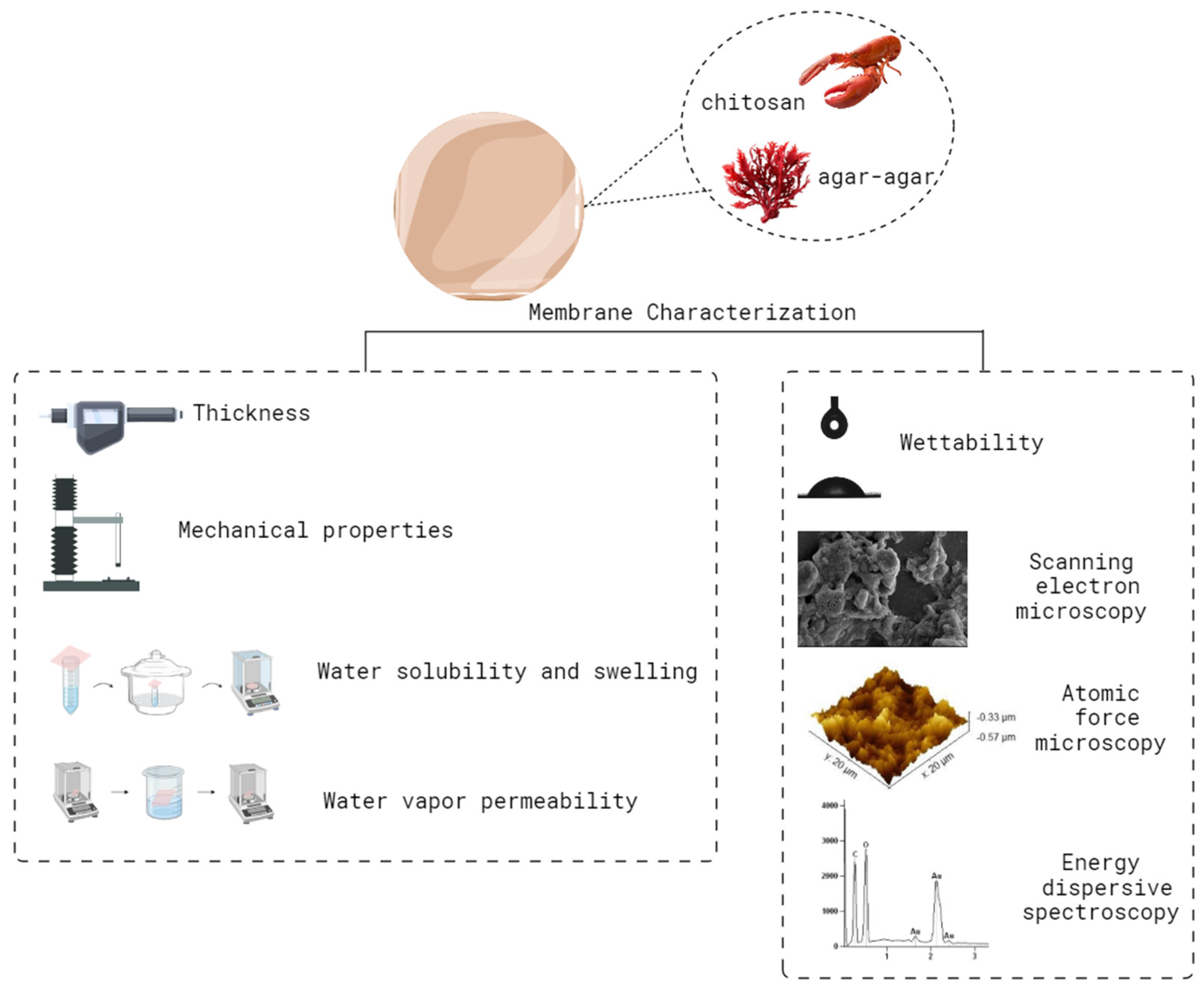 Polymers 16 02940 g001