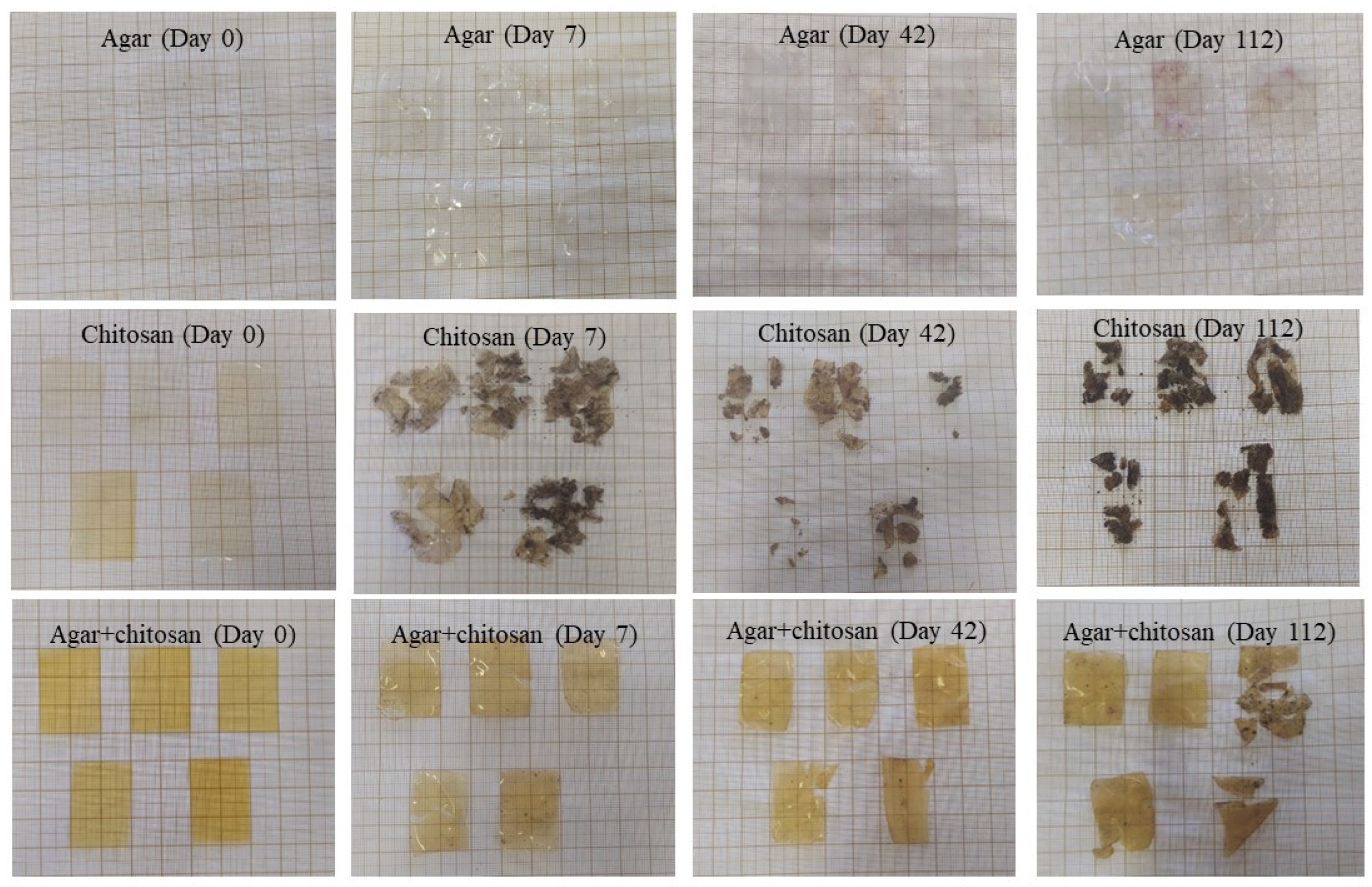 Polymers 16 02940 g004